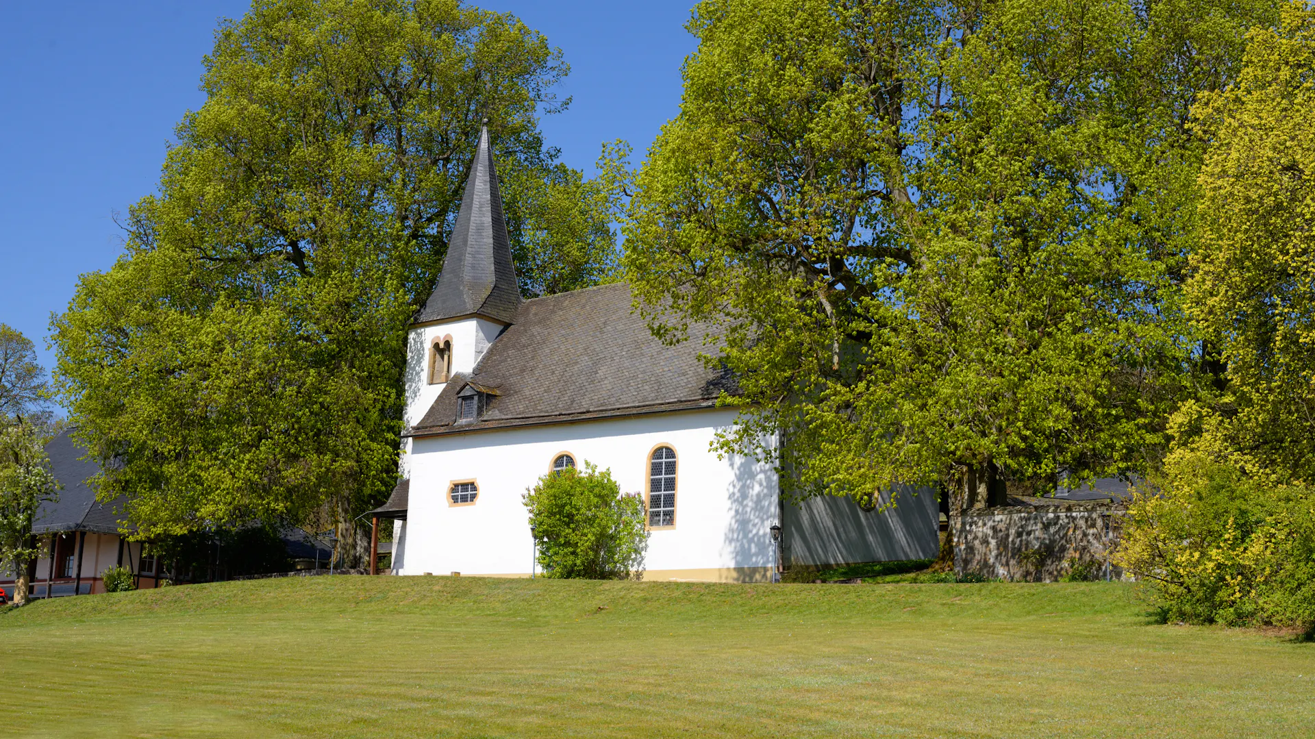 Ulmen an einer Kirche