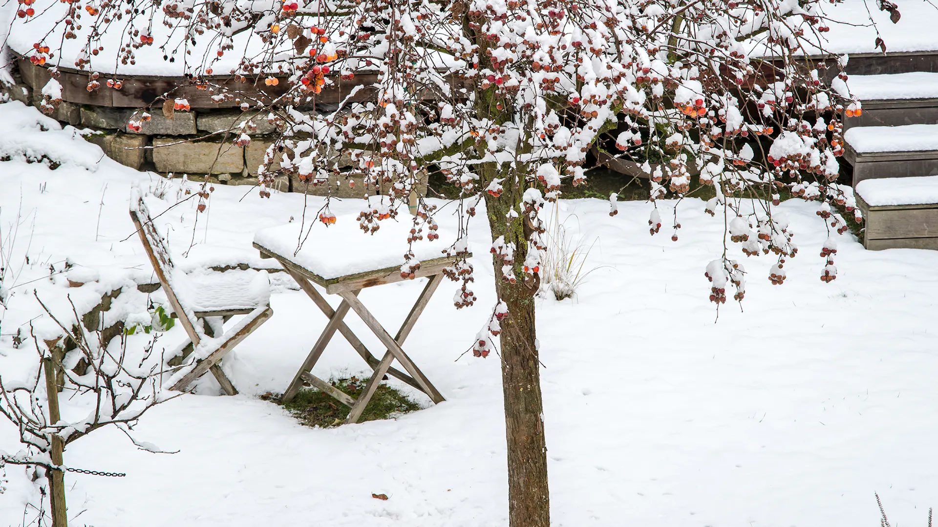 Neve in giardino