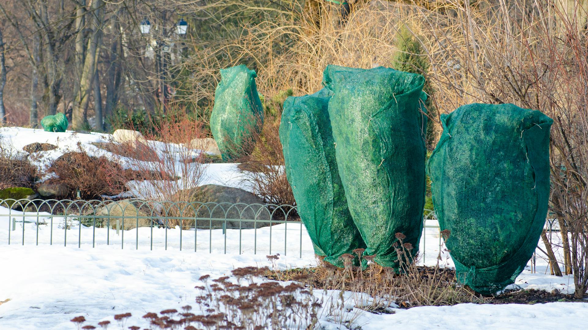 pflanzen winterschutz