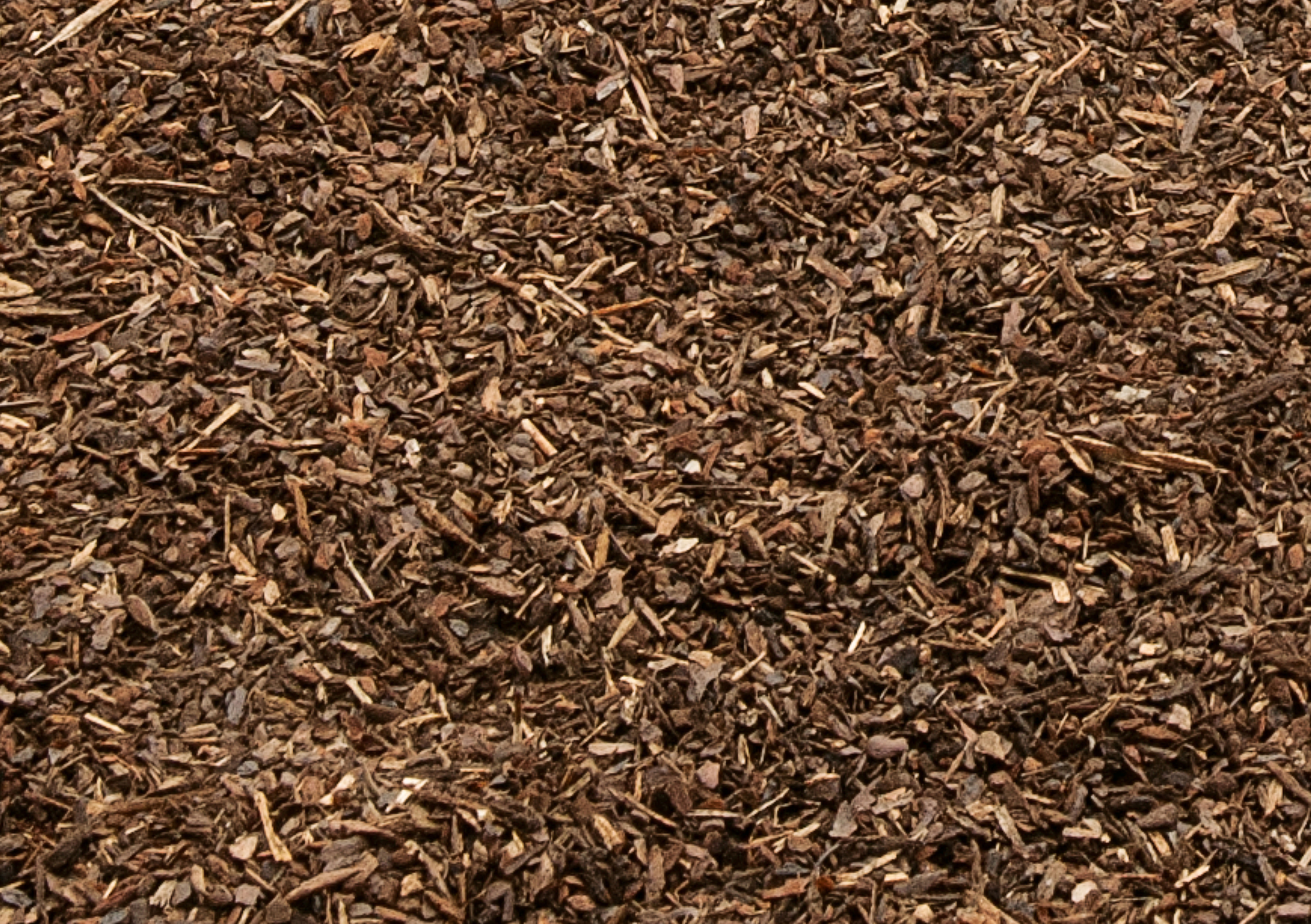 Winterschutz für Pflanzen Ratgeber mit Video OBI