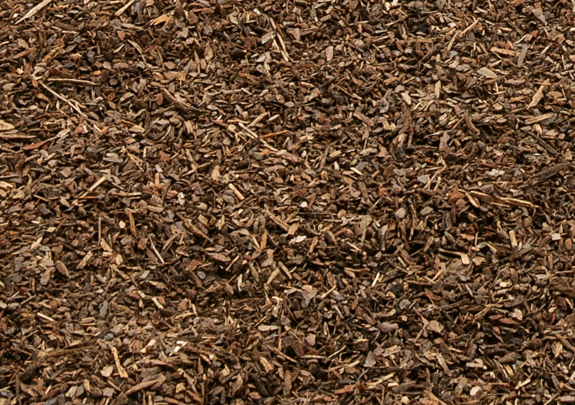 Protezione invernale per le piante con pacciame per rose.