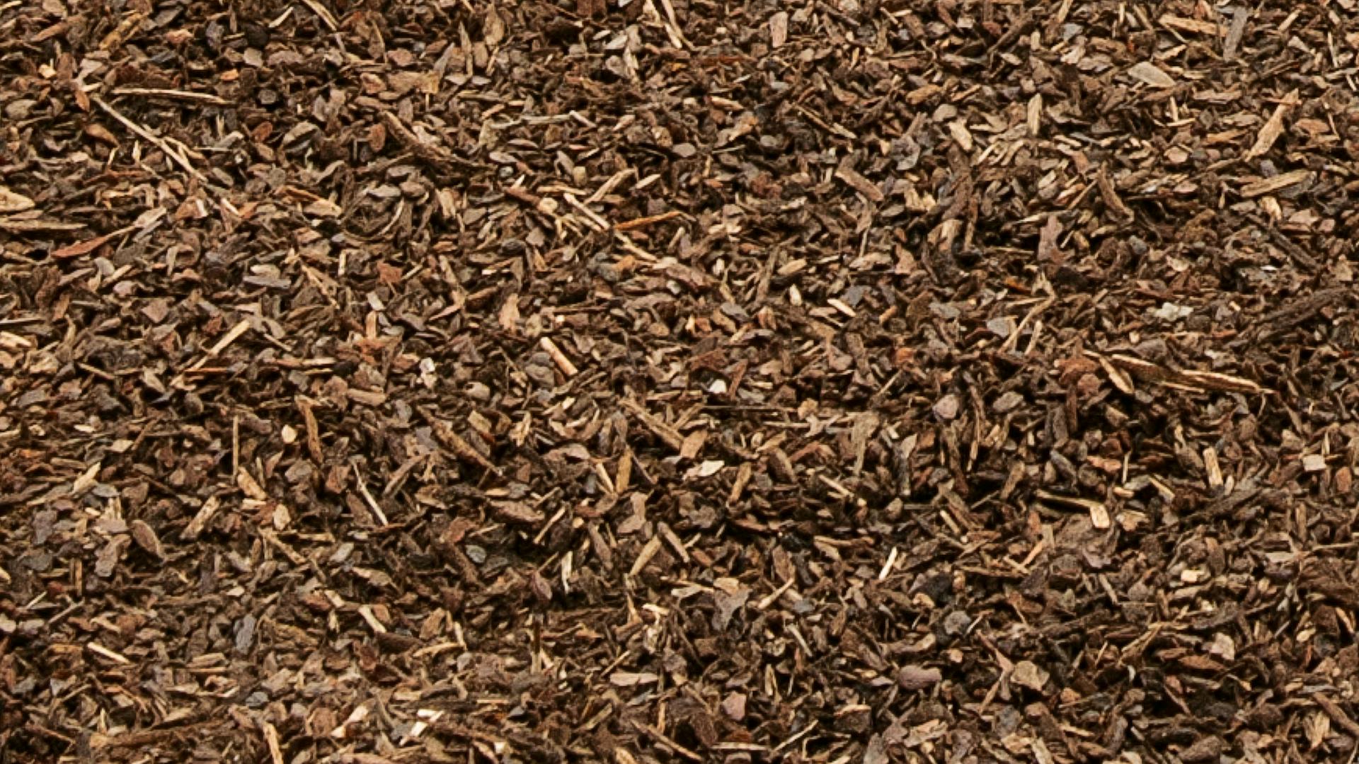 Zimní ochrana rostlin pomocí růžového mulče.