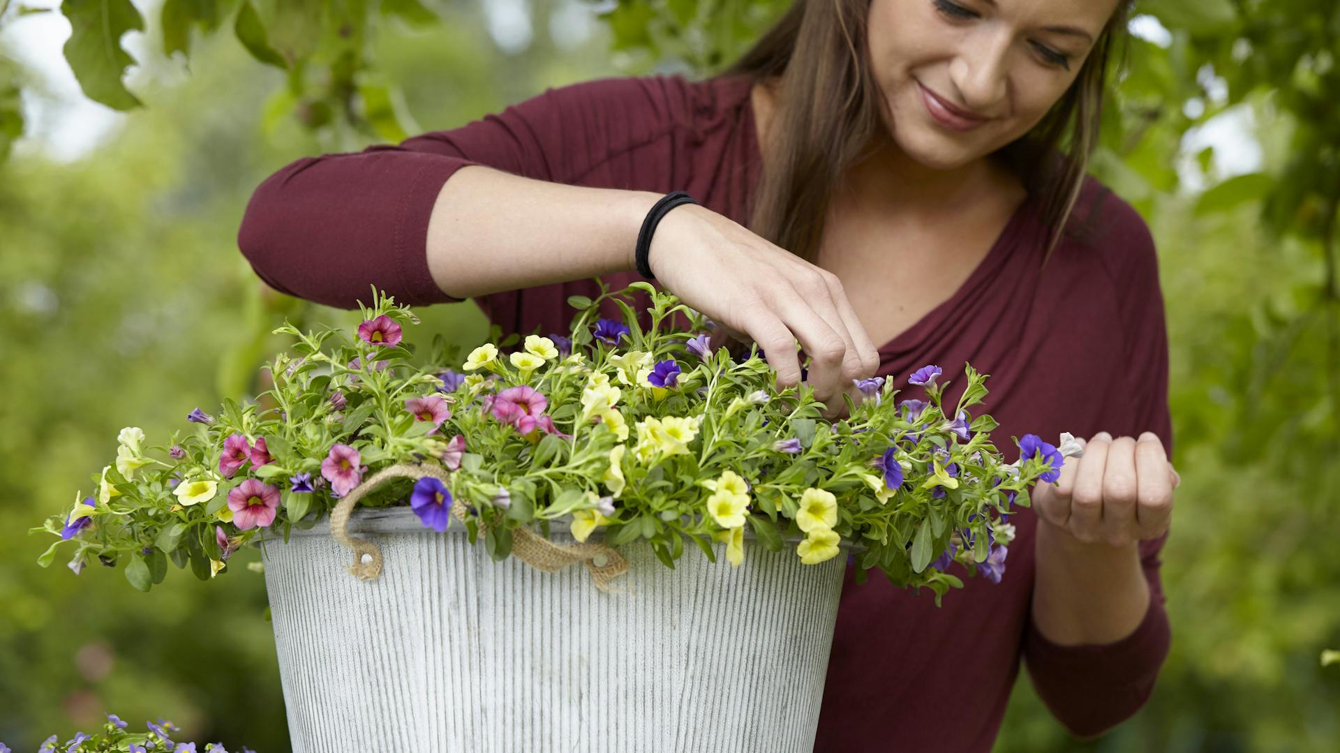 Eine Person kümmert sich um Zauberglöckchen im Topf