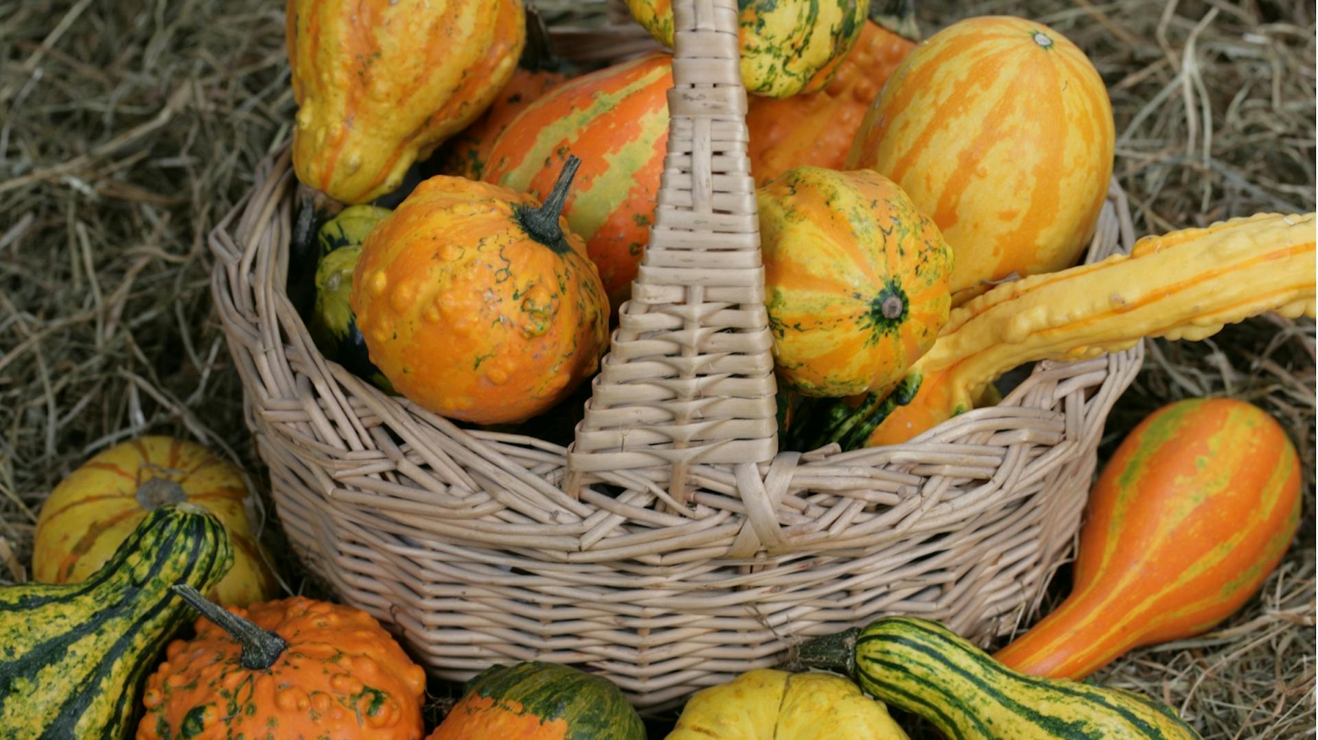Zierkürbisse in einem Korb.