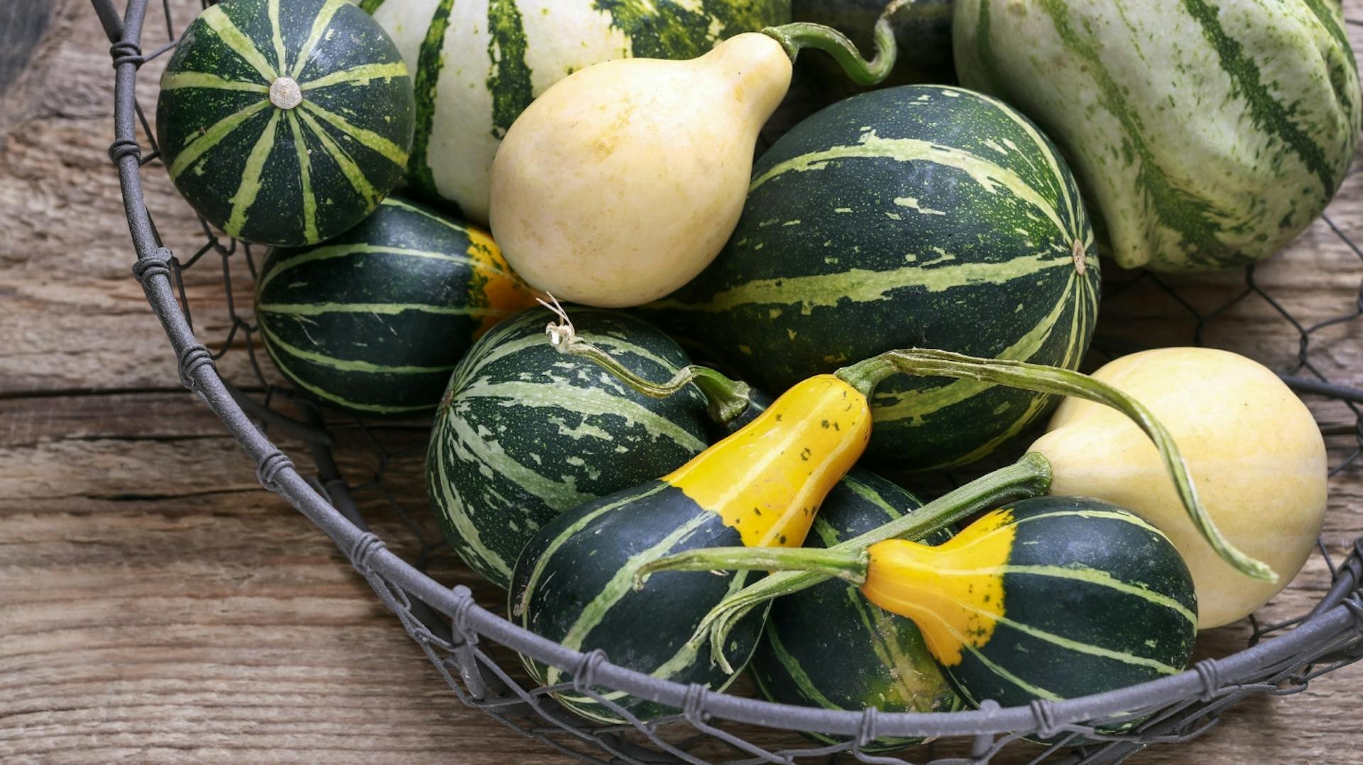 Zierkürbisse in einem Korb