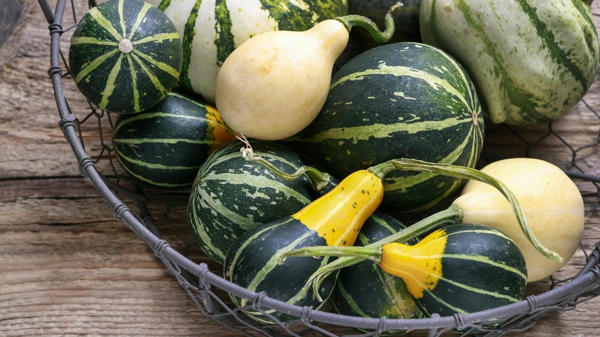 Zierkürbisse in einem Korb.