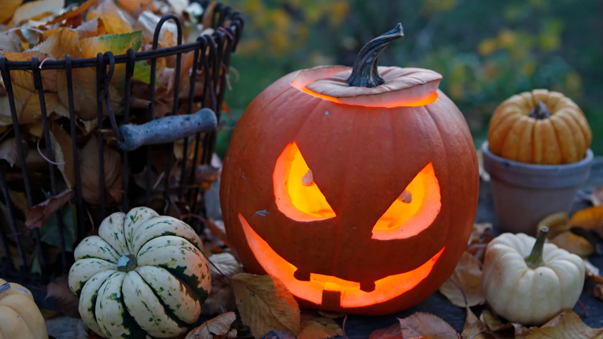 Le zucche ornamentali sono distribuite intorno a una zucca intagliata.