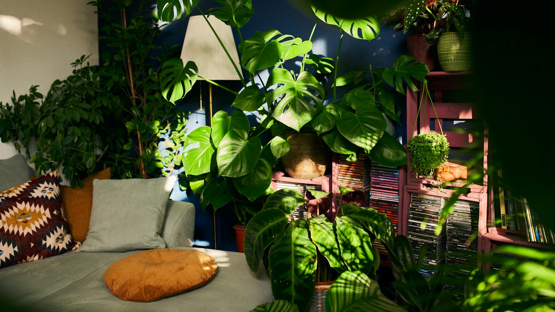 Gut gepflegte Zimmerpflanzen in Indoor Jungle