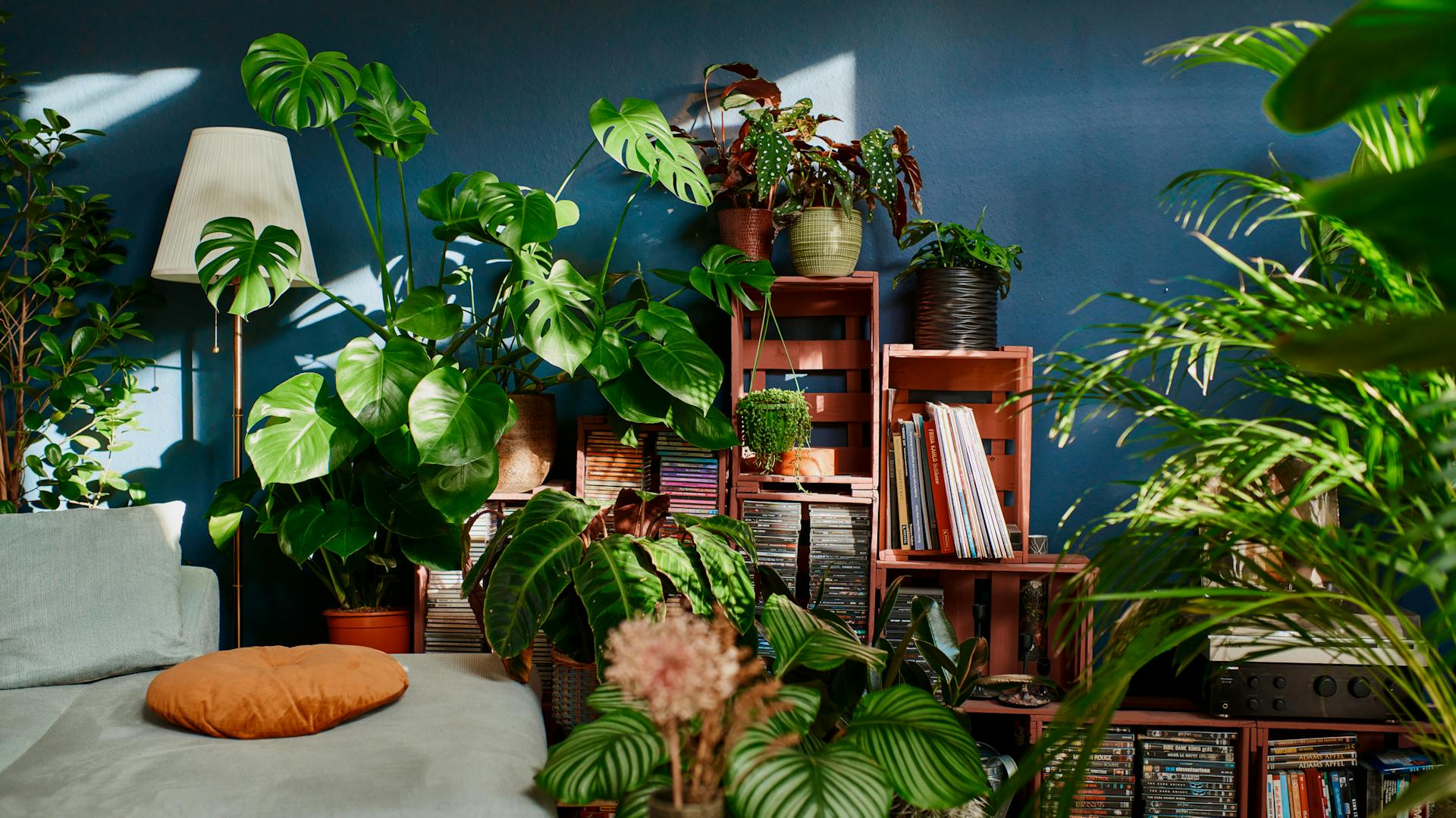 Indoor-Dschungel mit vielen Zimmerpflanzen