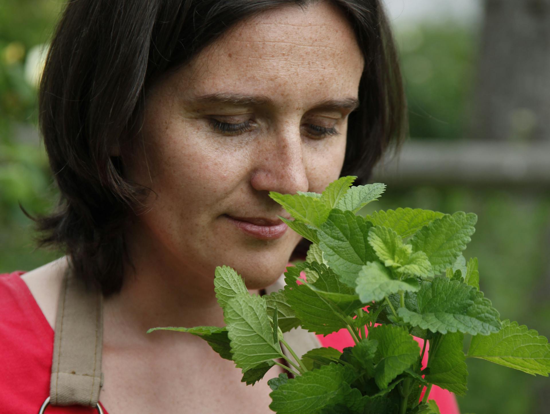 Frau riecht an Zitronenmelisse