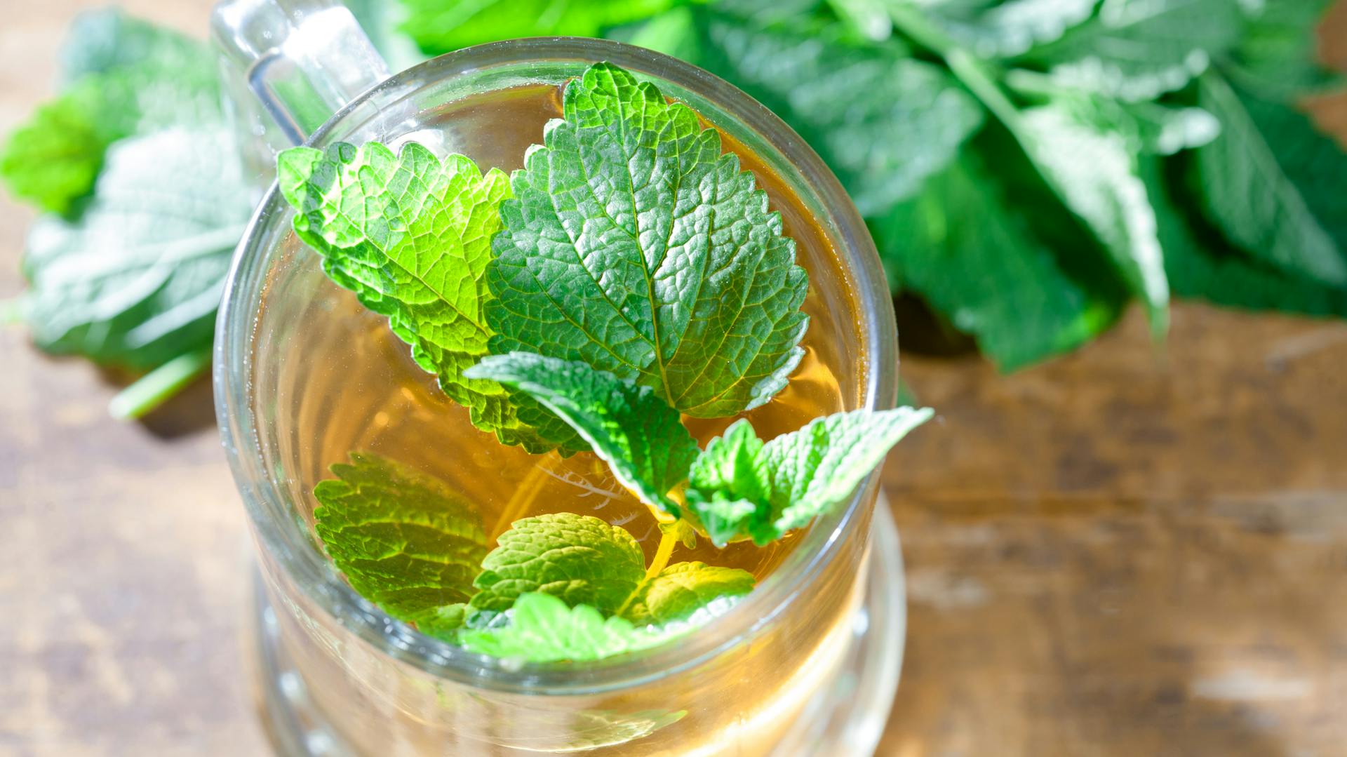 Tee mit Zitronenmelisse