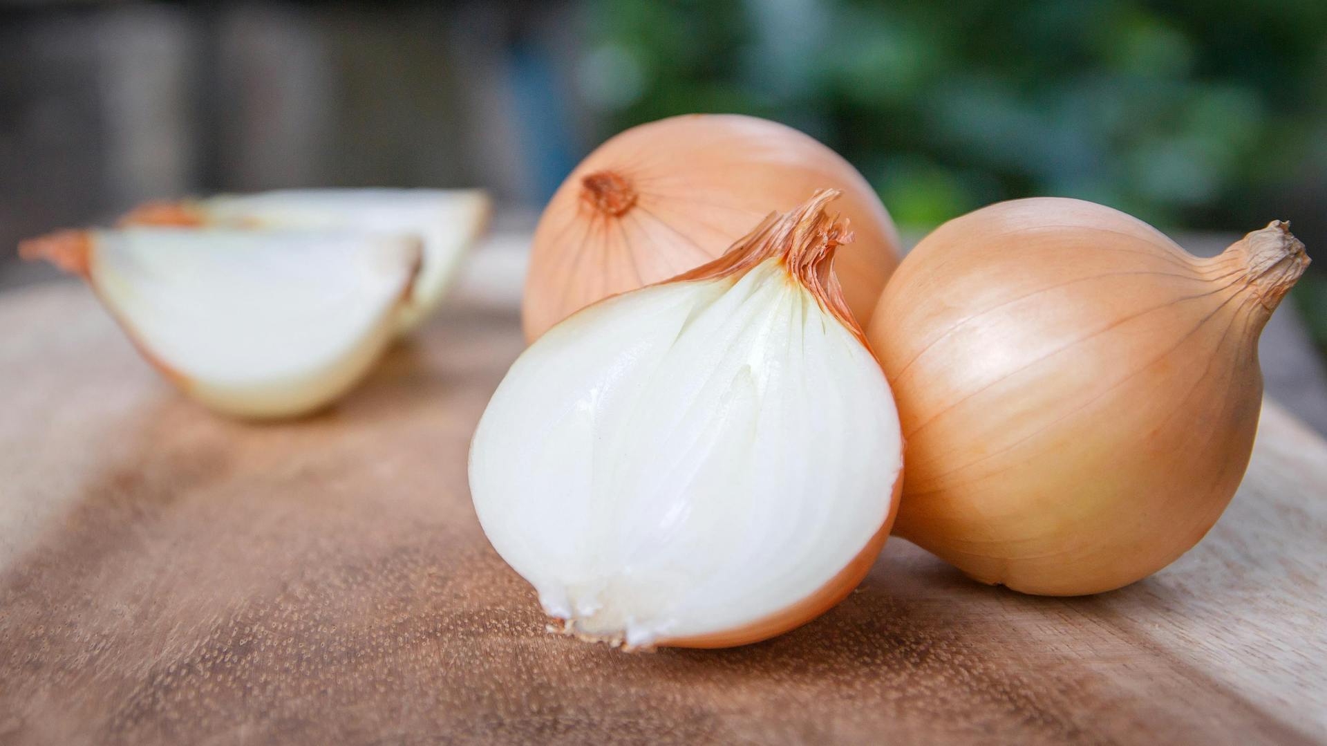How to grow leeks from seed Growing leeks, Leeks, Herbs
