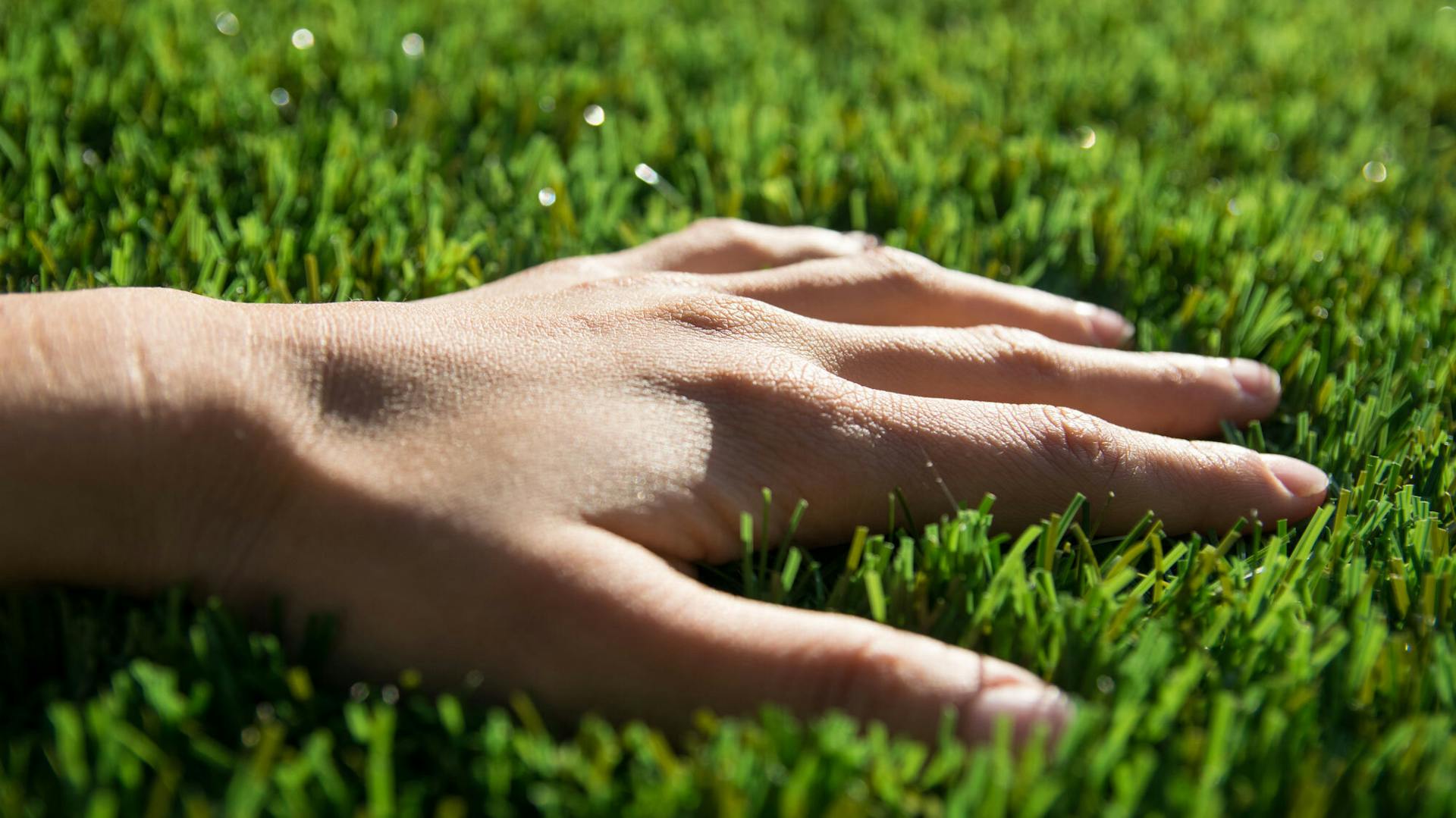 Egy kéz a füvet érinti