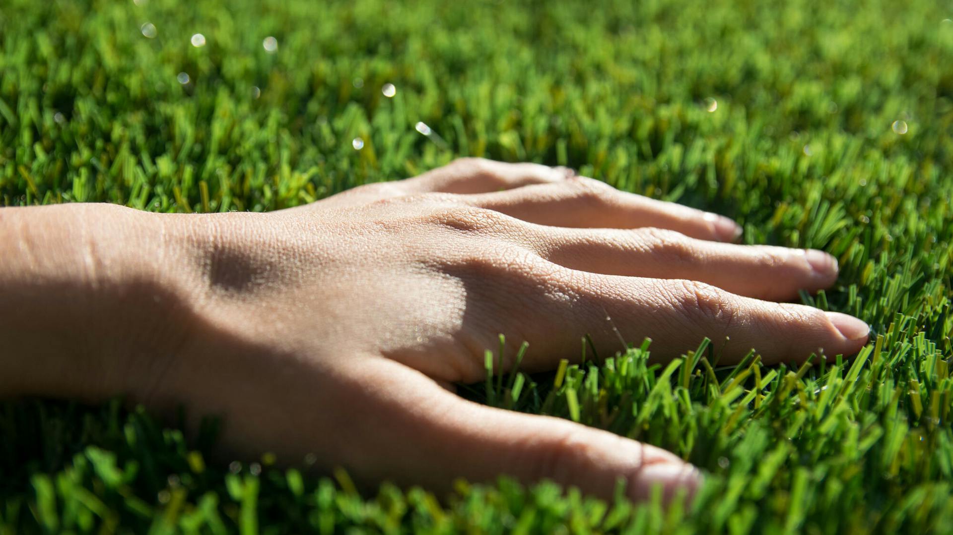 Hand streicht über gepflegten Rasen