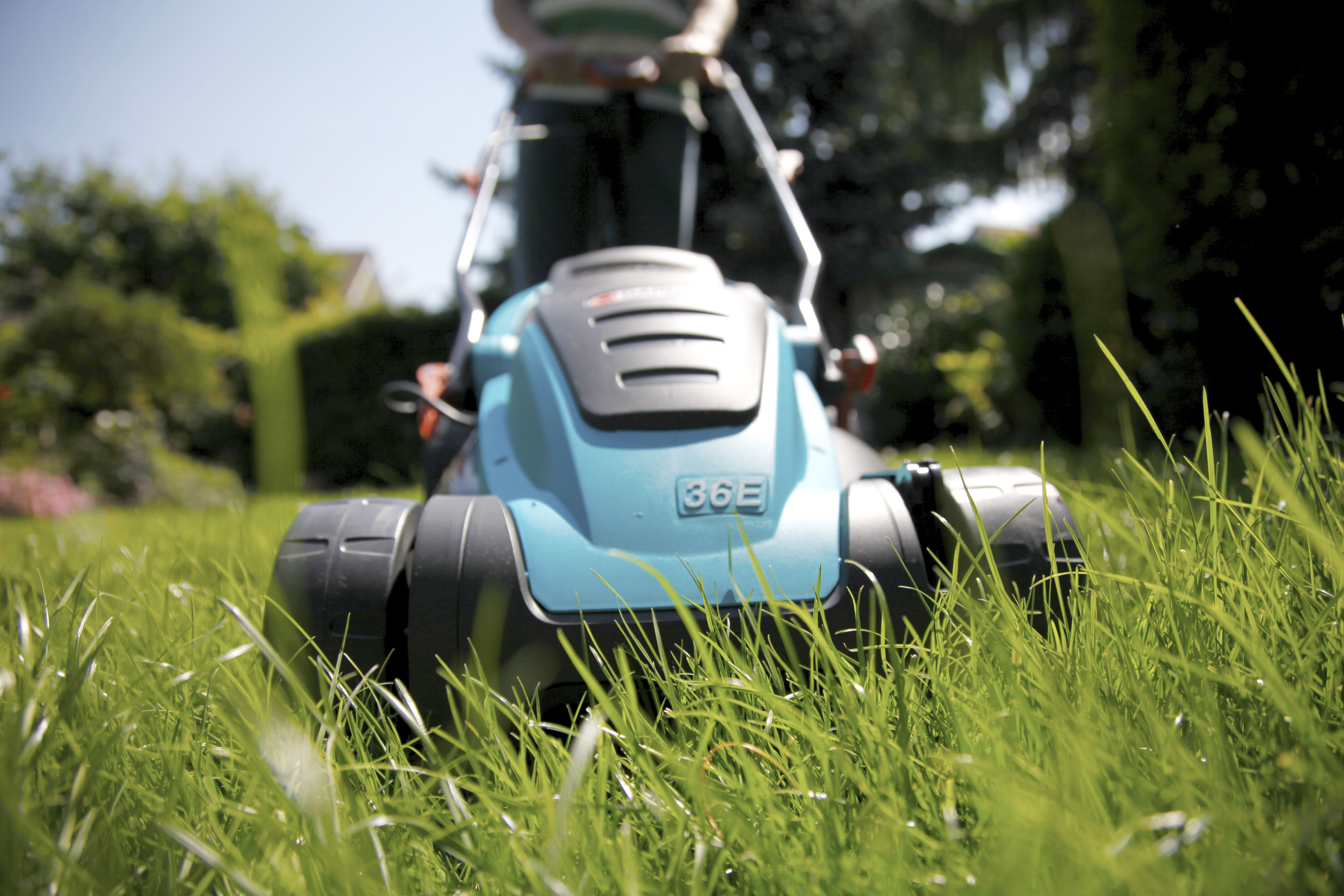 Grasmilben Ratgeber und Tipps zur Bekämpfung OBI