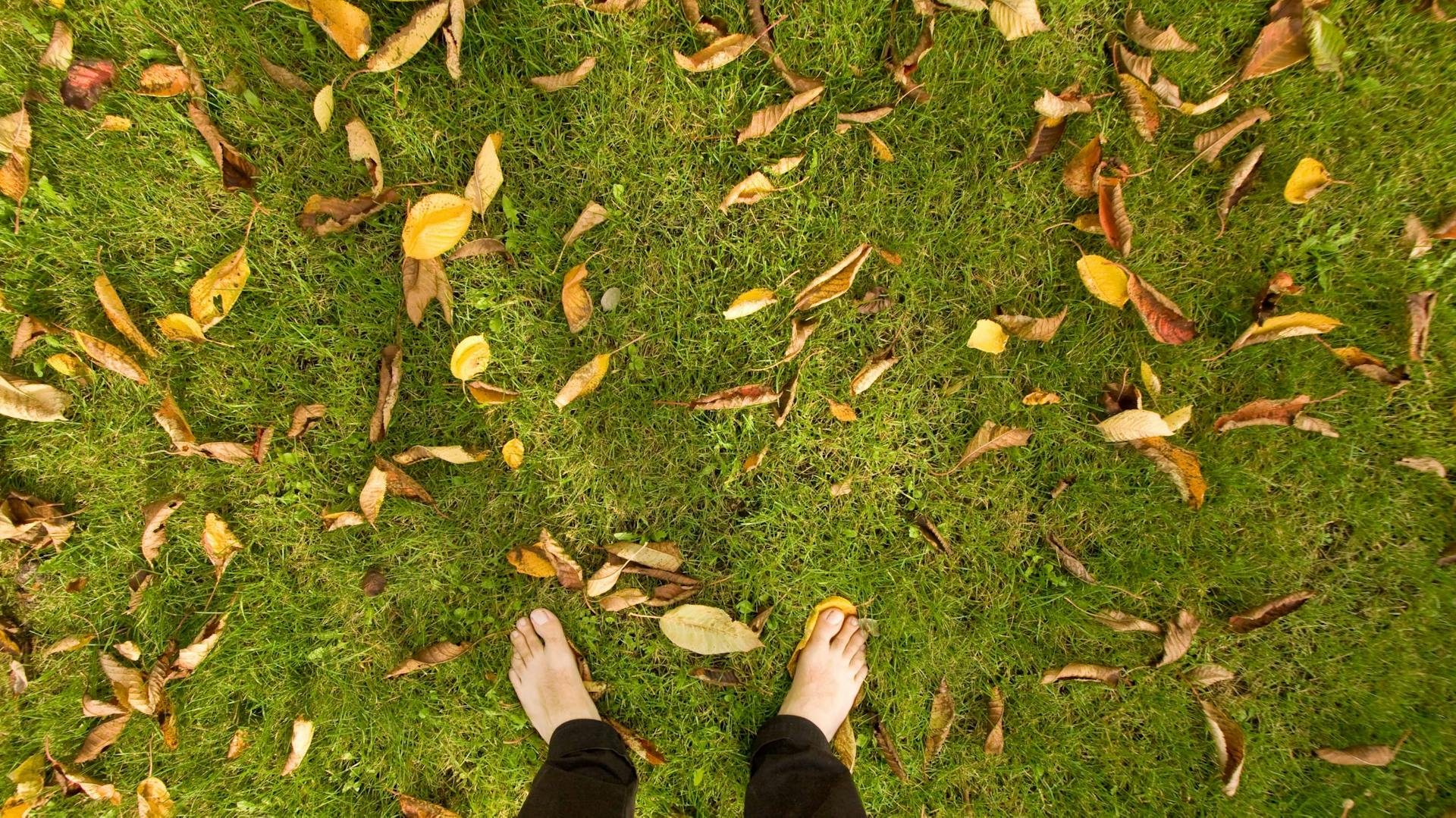 Rasen mit Herbstlaub und Füßen