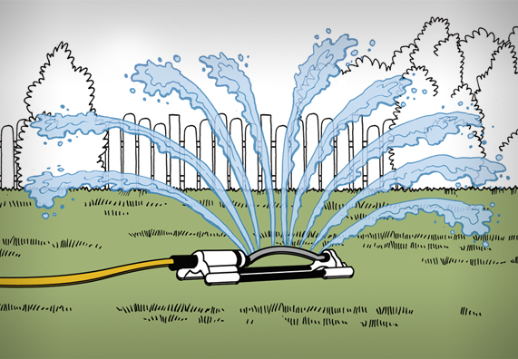 Rasen anlegen Anleitung in 6 Schritten OBI