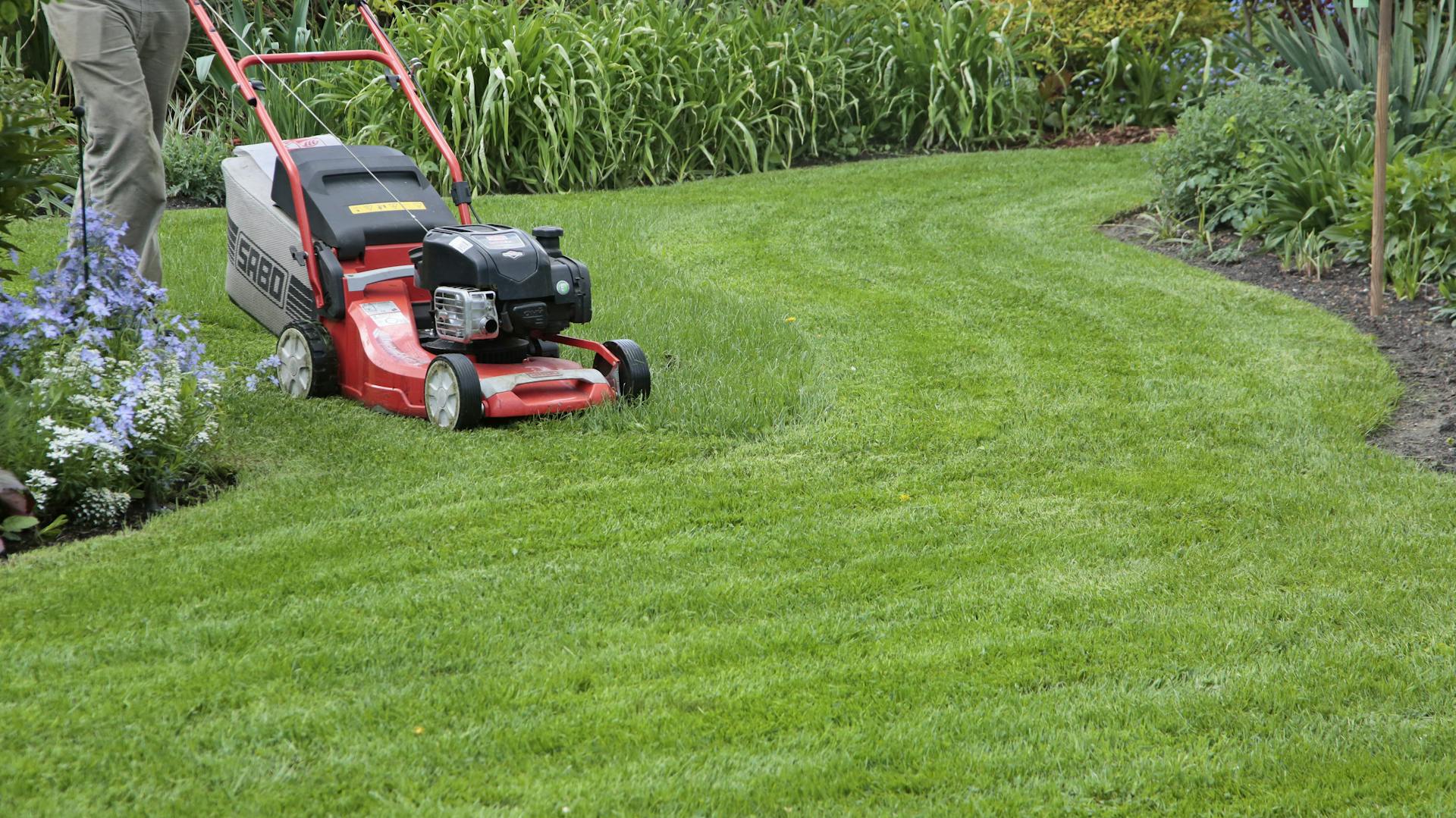 Osviežte svoj trávnik OBI