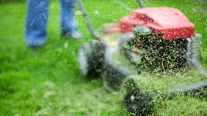 A fűnyírás helyes módja – tanácsok és tippek | OBI