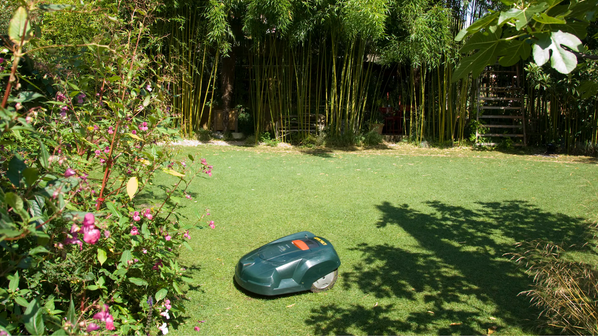 Ein Rasenmähroboter mäht den Rasen.