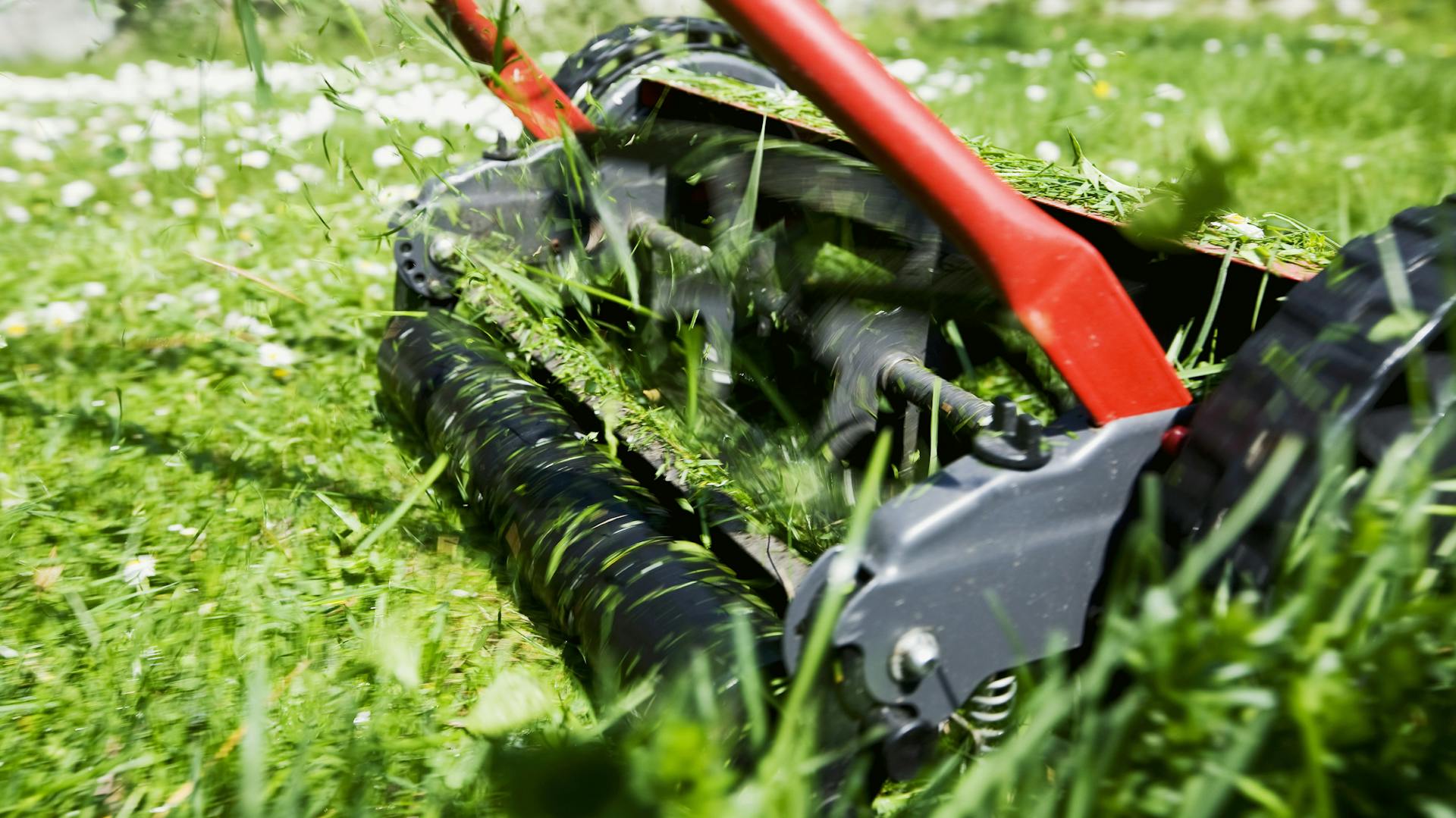 Rasen richtig mähen – Ratgeber und Tipps | OBI