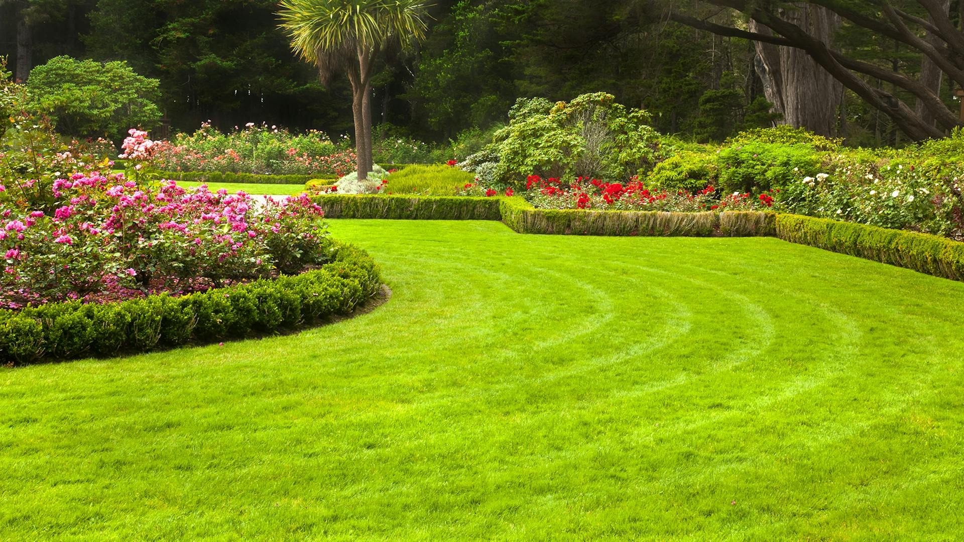 Dobre udržiavaný trávnik v záhrade s rôznymi rastlinami