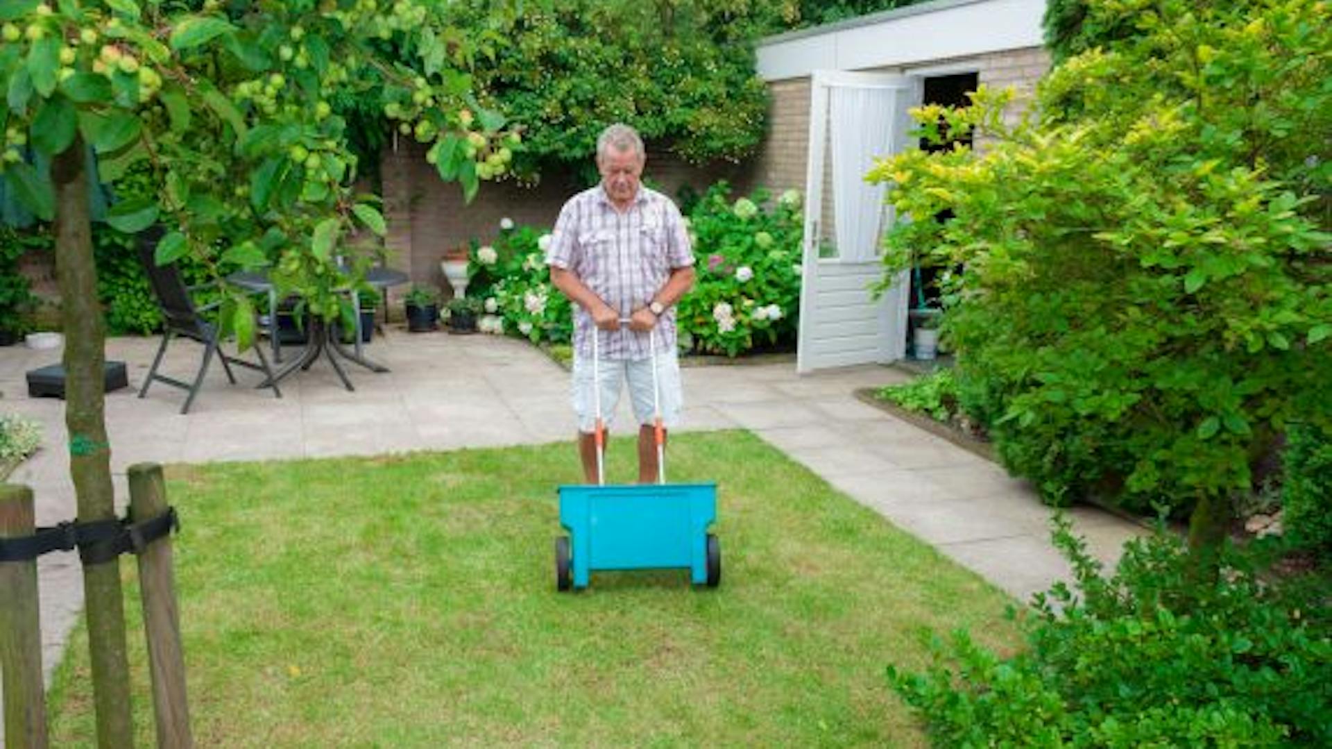 Trágyázással tartják karban a gyepet.