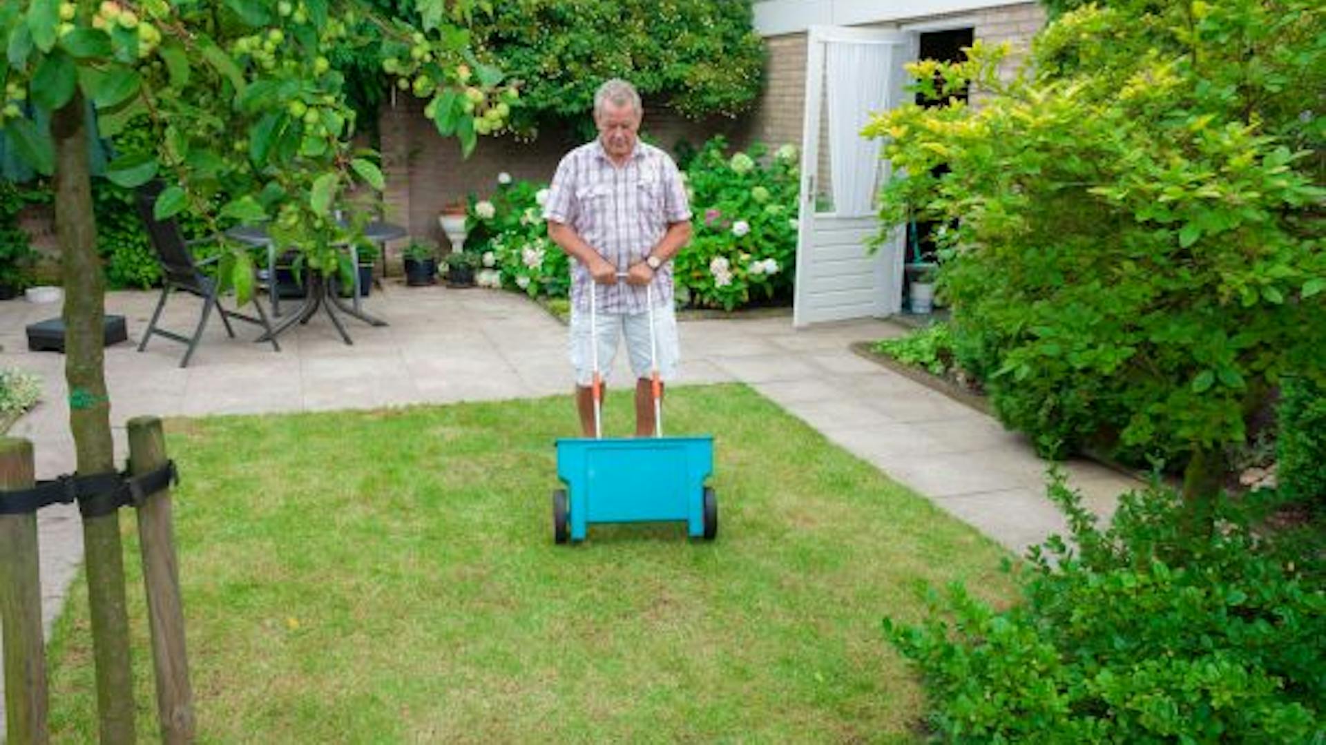 Heimwerker benutzt einen Düngewagen, um seinen Rasen zu düngen