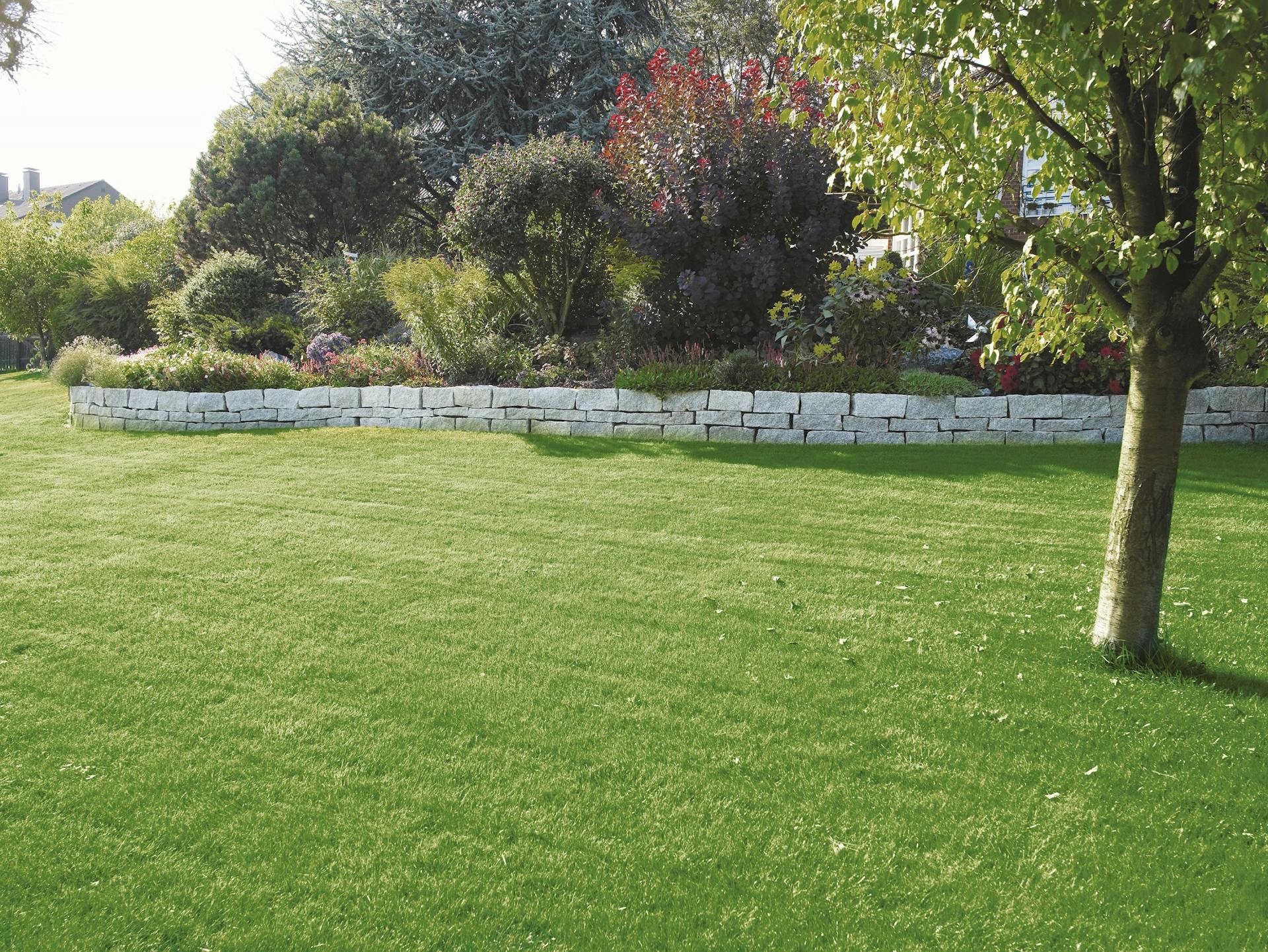 Prato ben tenuto in un grande giardino con un muretto e un albero