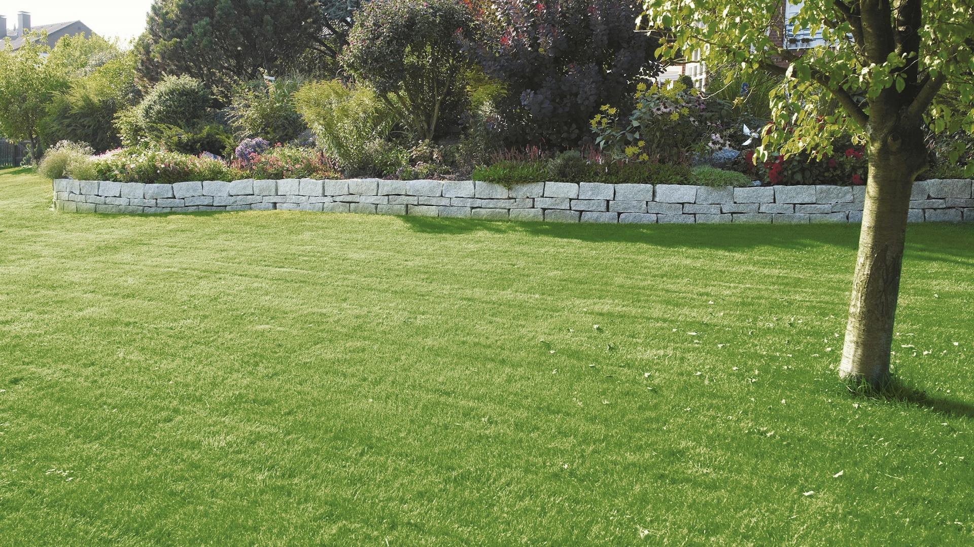 Grüne Rasenfläche mit Baum und Hochbeet