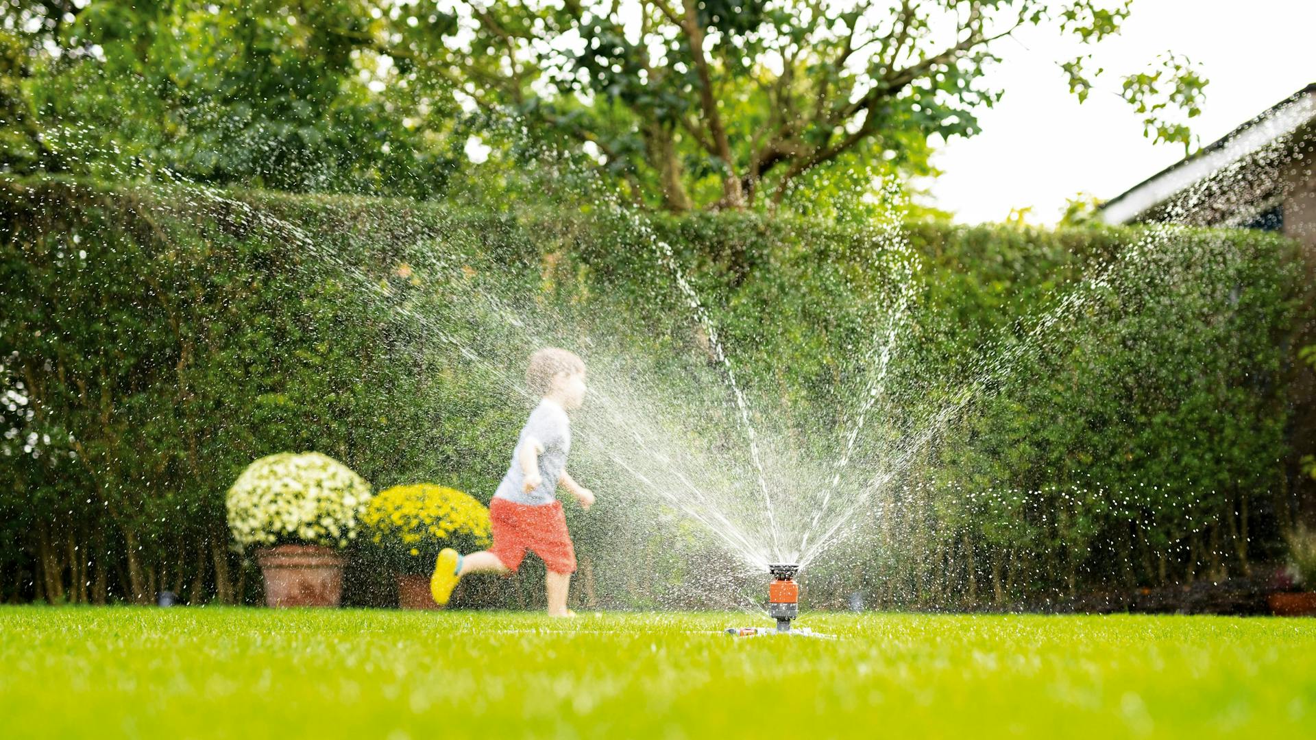 Kind läuft im Garten durch den Rasensprenger