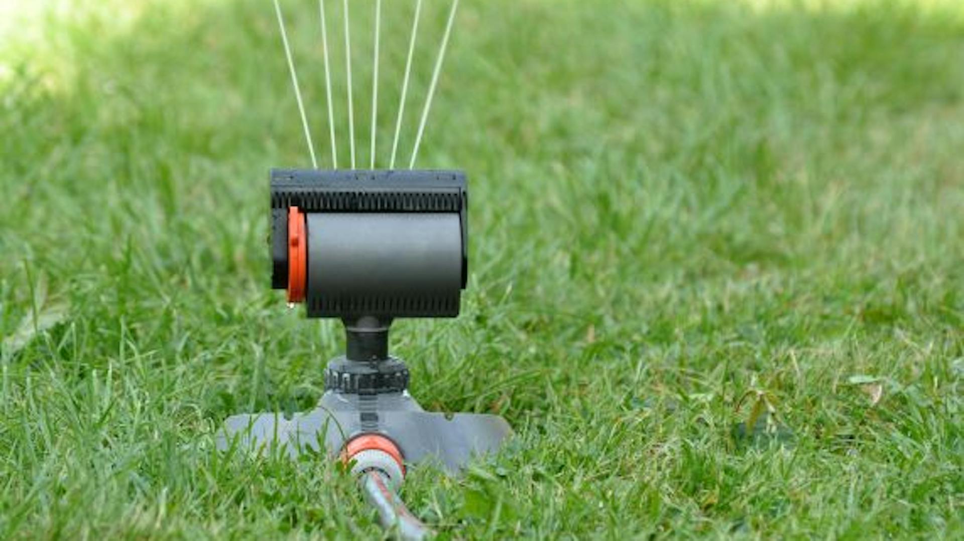 Regner vereinfachen die Bewässerung des Rasens