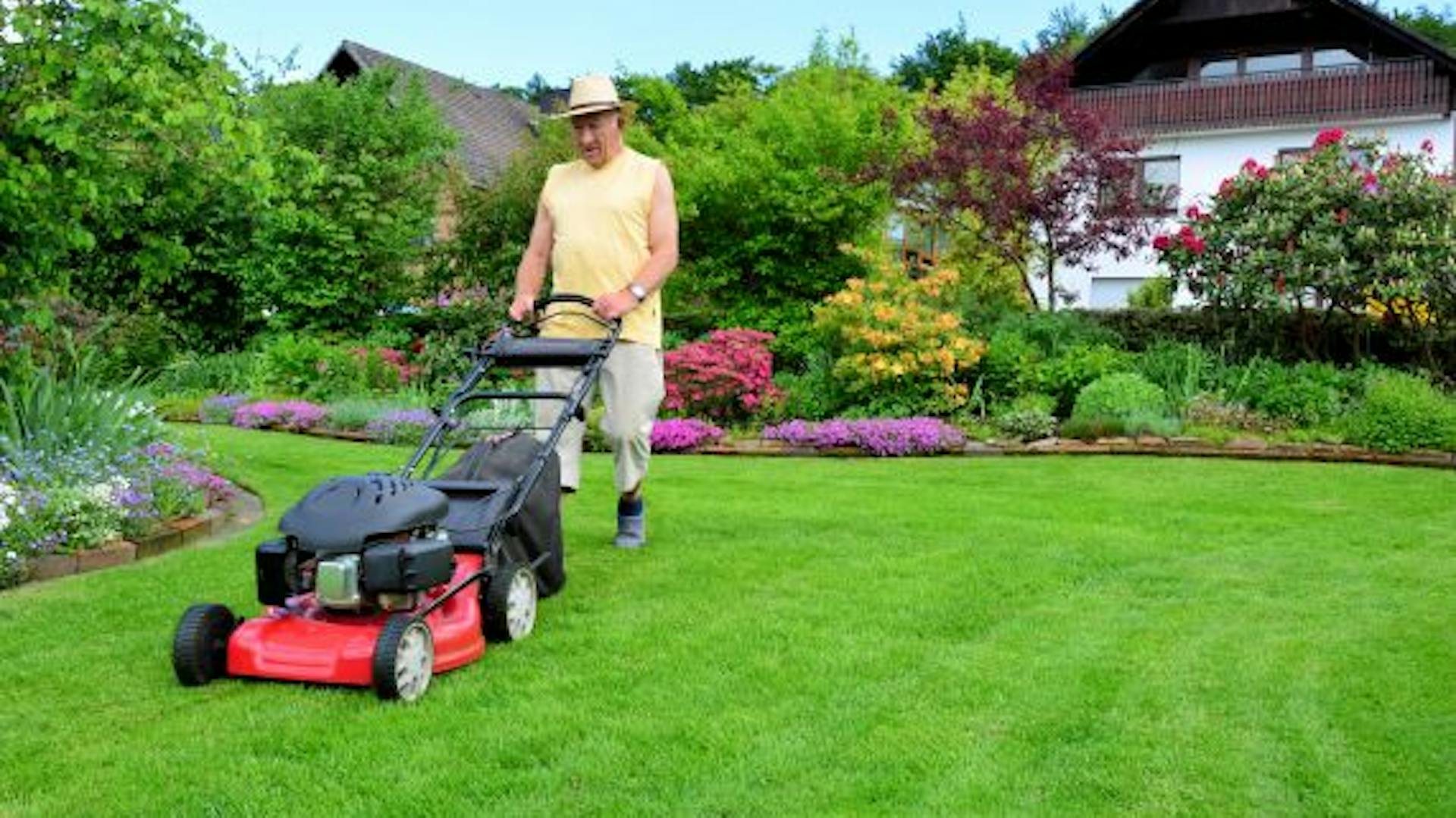 Heimwerker mäht Rasen mit Benzinrasenmäher