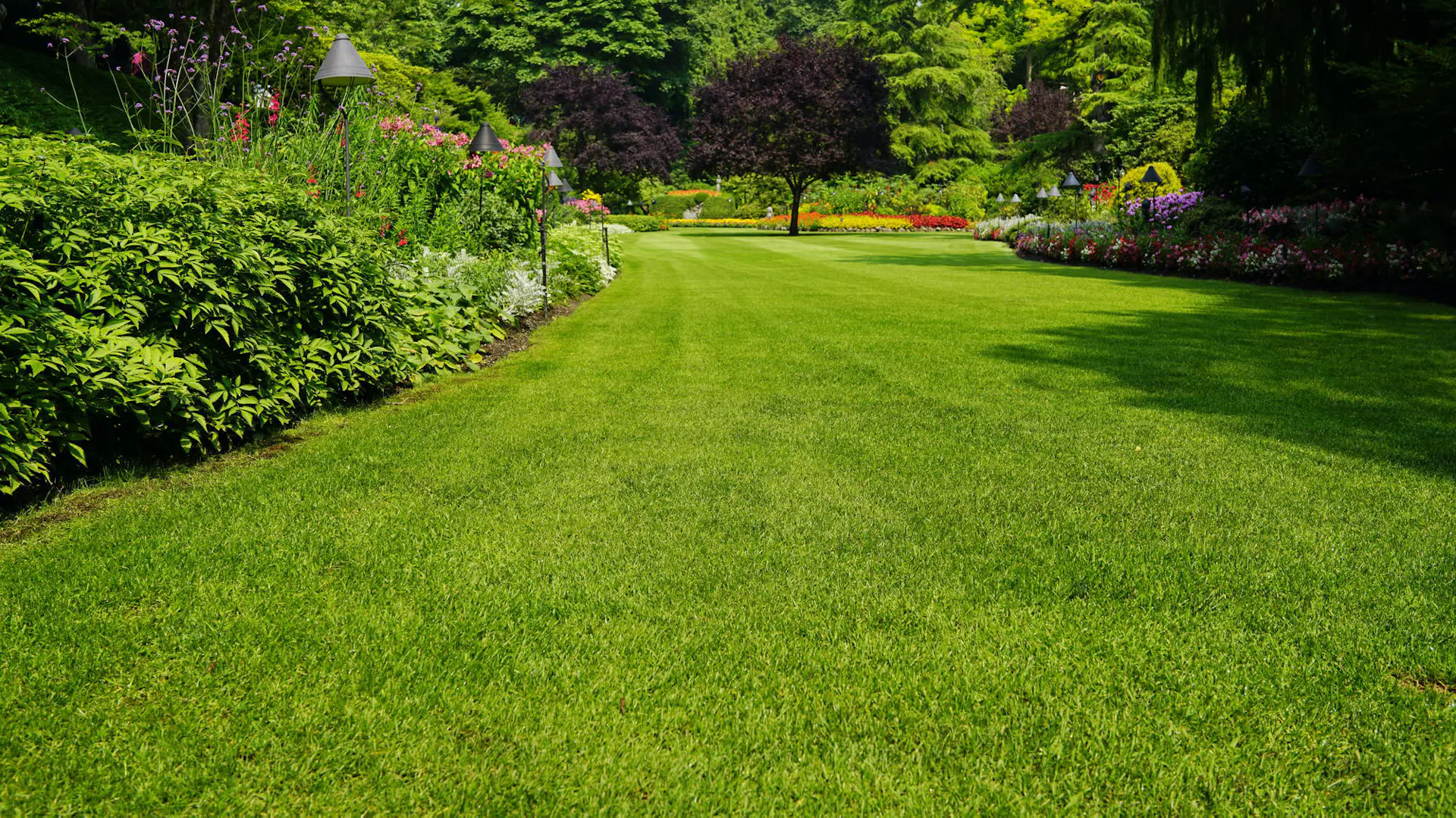 Garten mit grünem Rasen