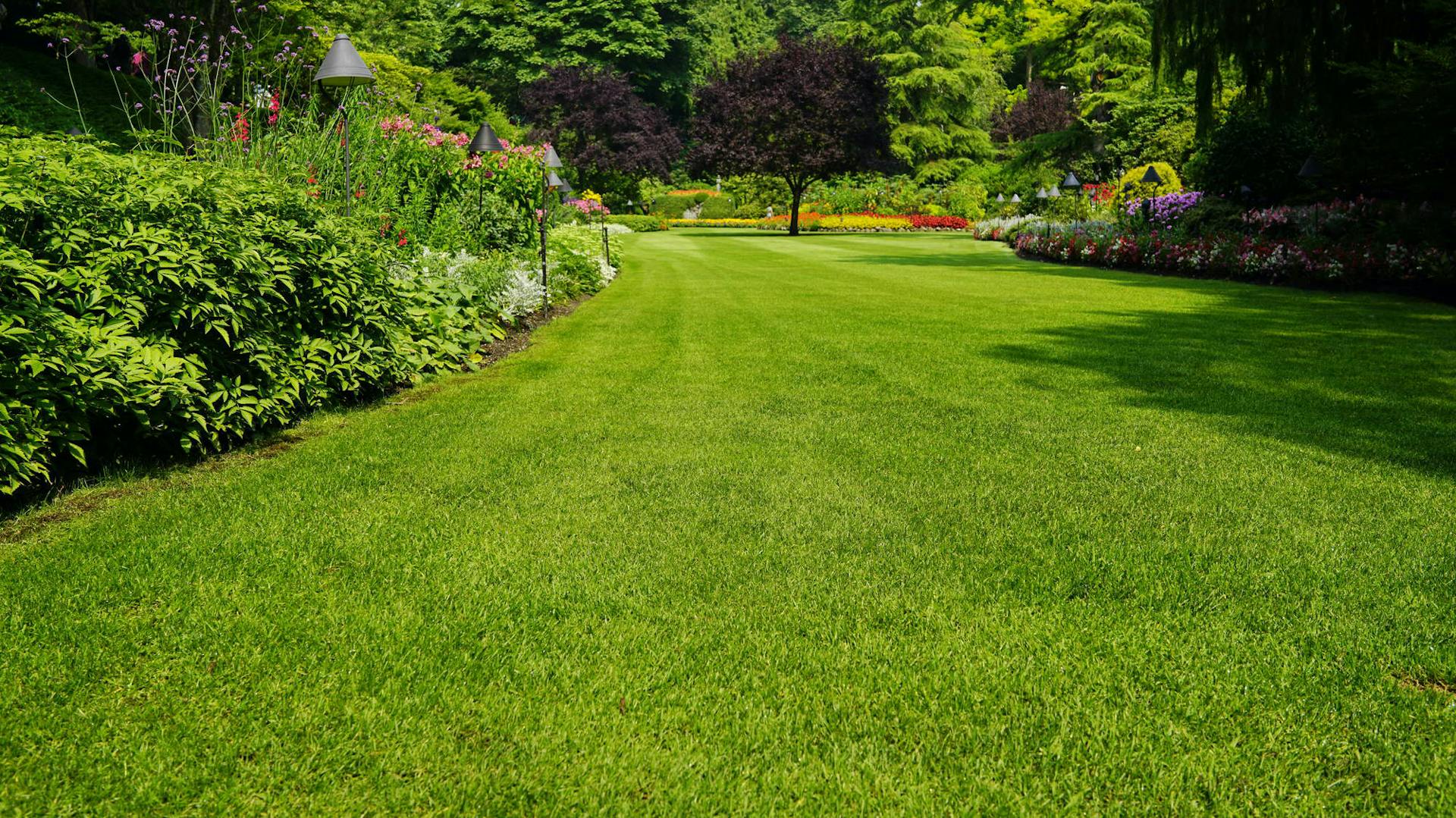 Upravený trávnik ohraničený lôžkami