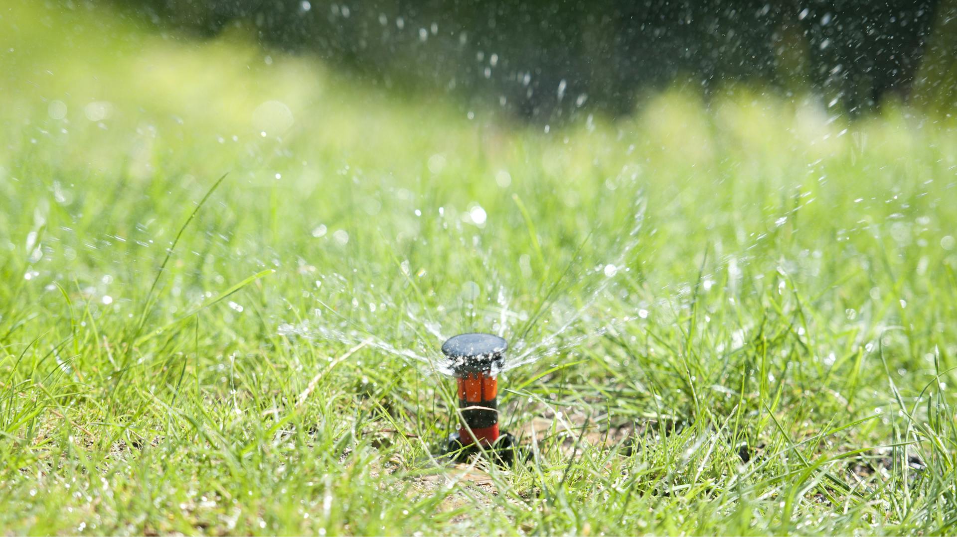 Rasenbewässerung: Ein Rasensprenger versorgt eine Wiese mit Wasser.