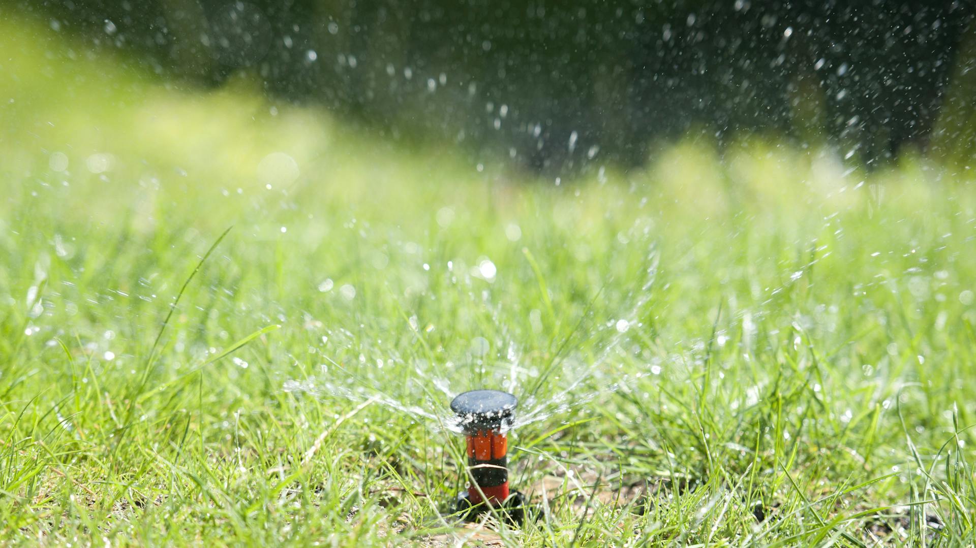 Rasen wird bewässert.