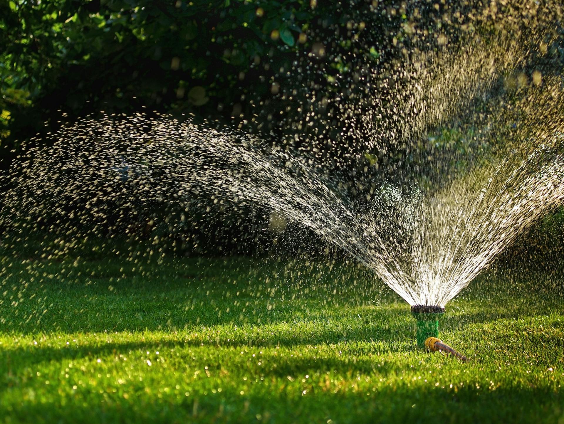 Gartenbewässerung: Ratgeber, Tipps & Wissenswertes | OBI