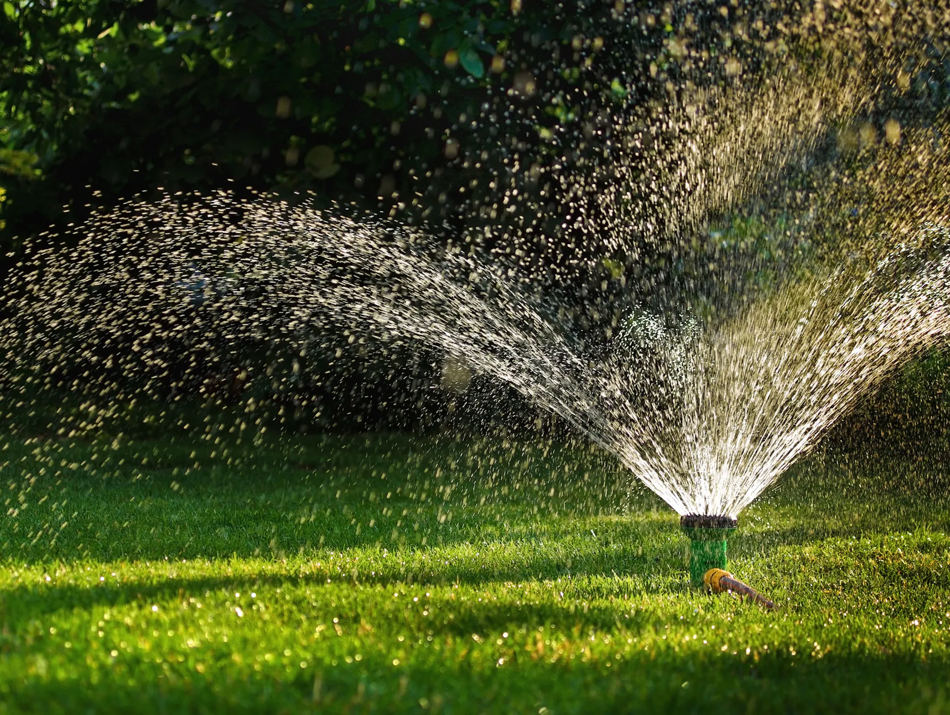 Trávník je zavlažován zavlažovačem.