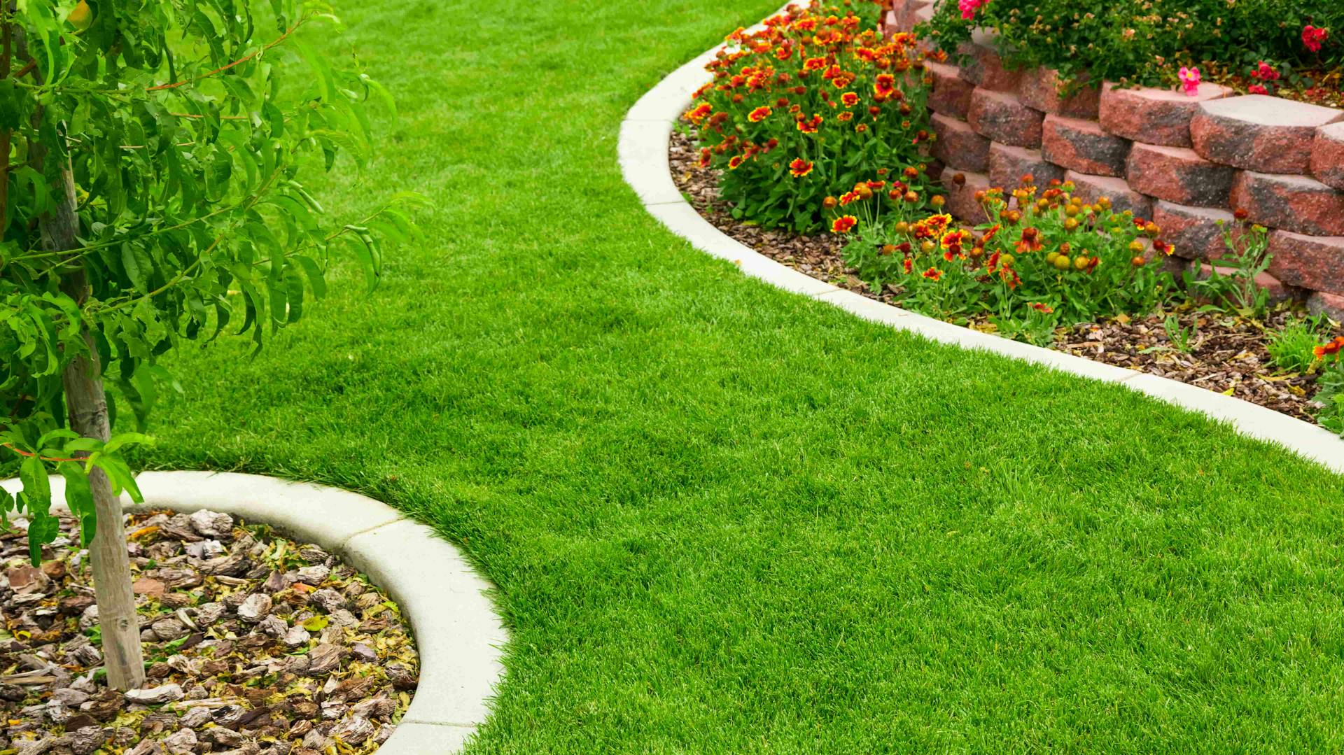 Rasenkantensteine als Einfassung von Baumscheibe und Beet im Garten