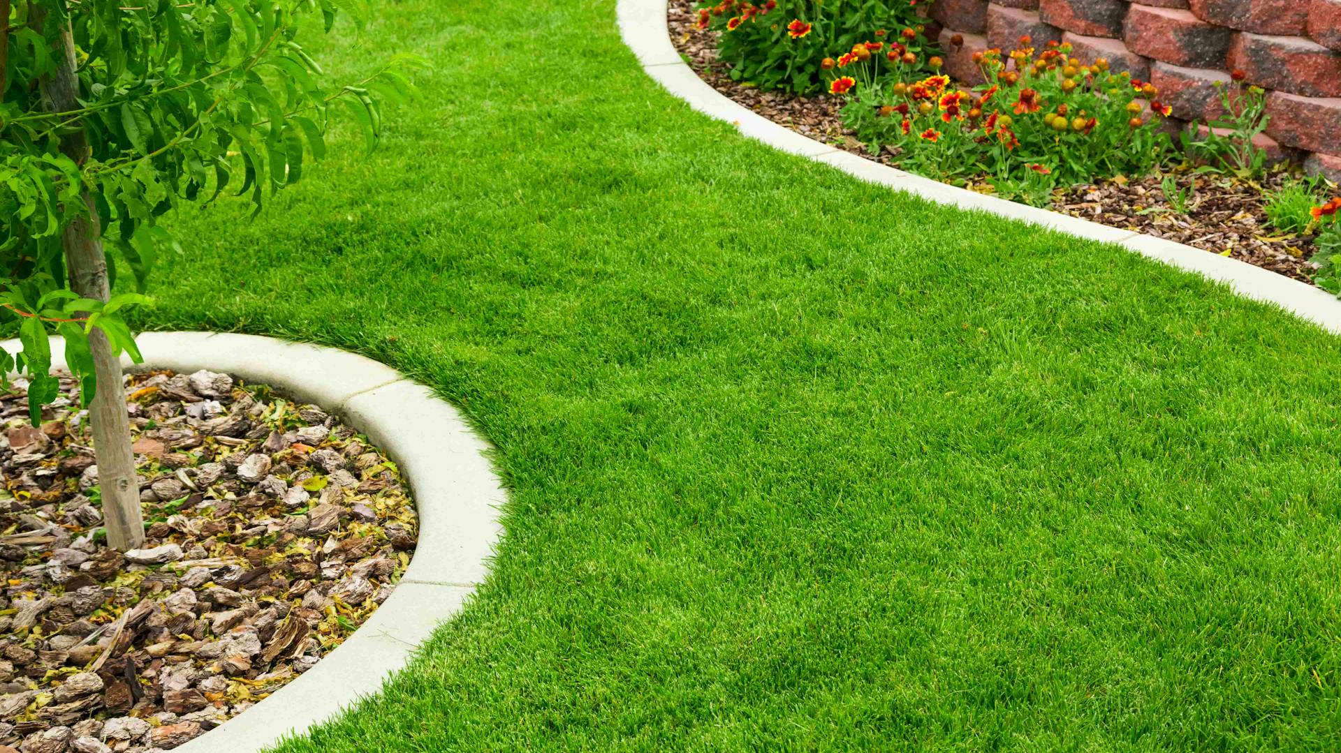 Getrimmte Rasenkante