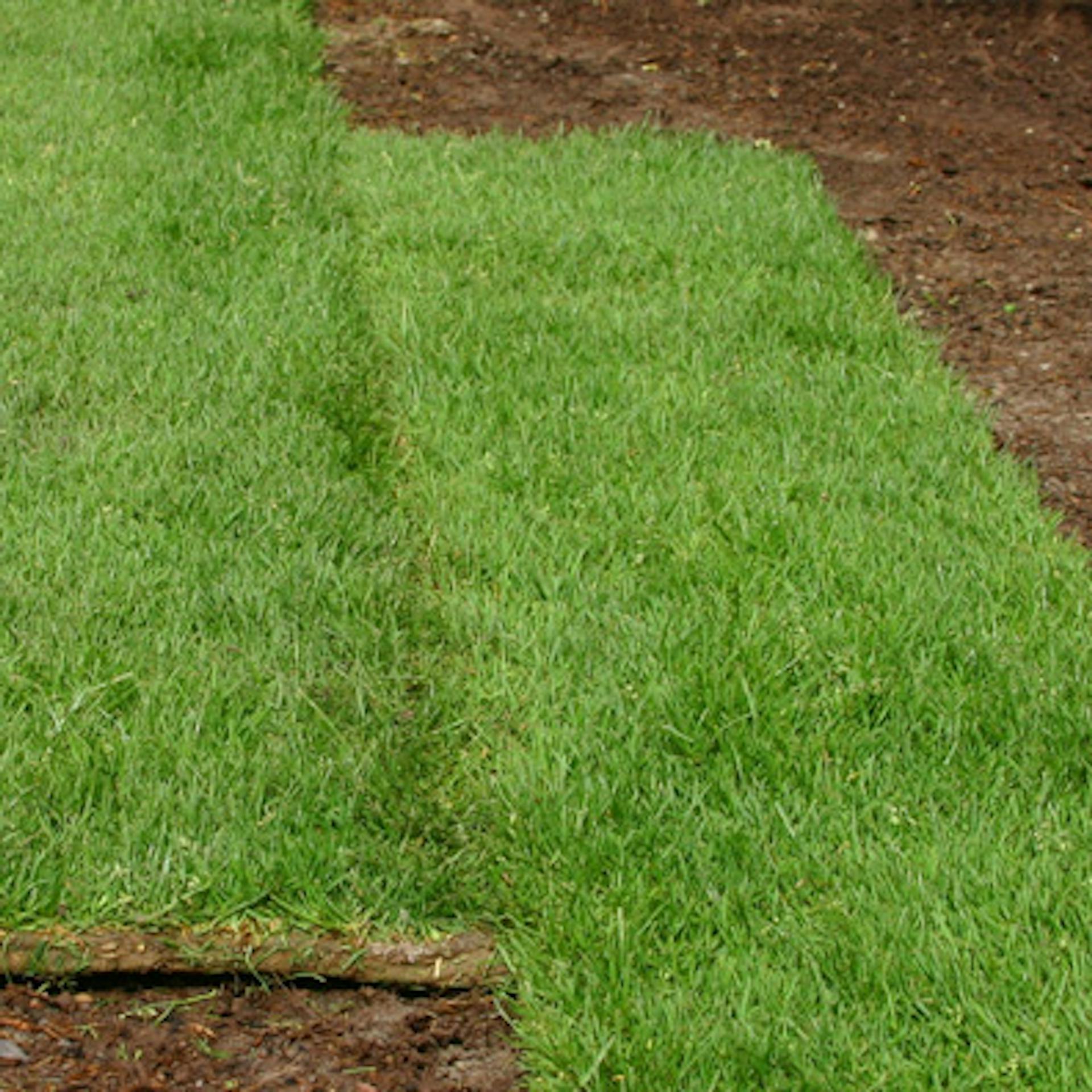 Lépcsőzetesen fektetett gyepszőnyegcsíkok