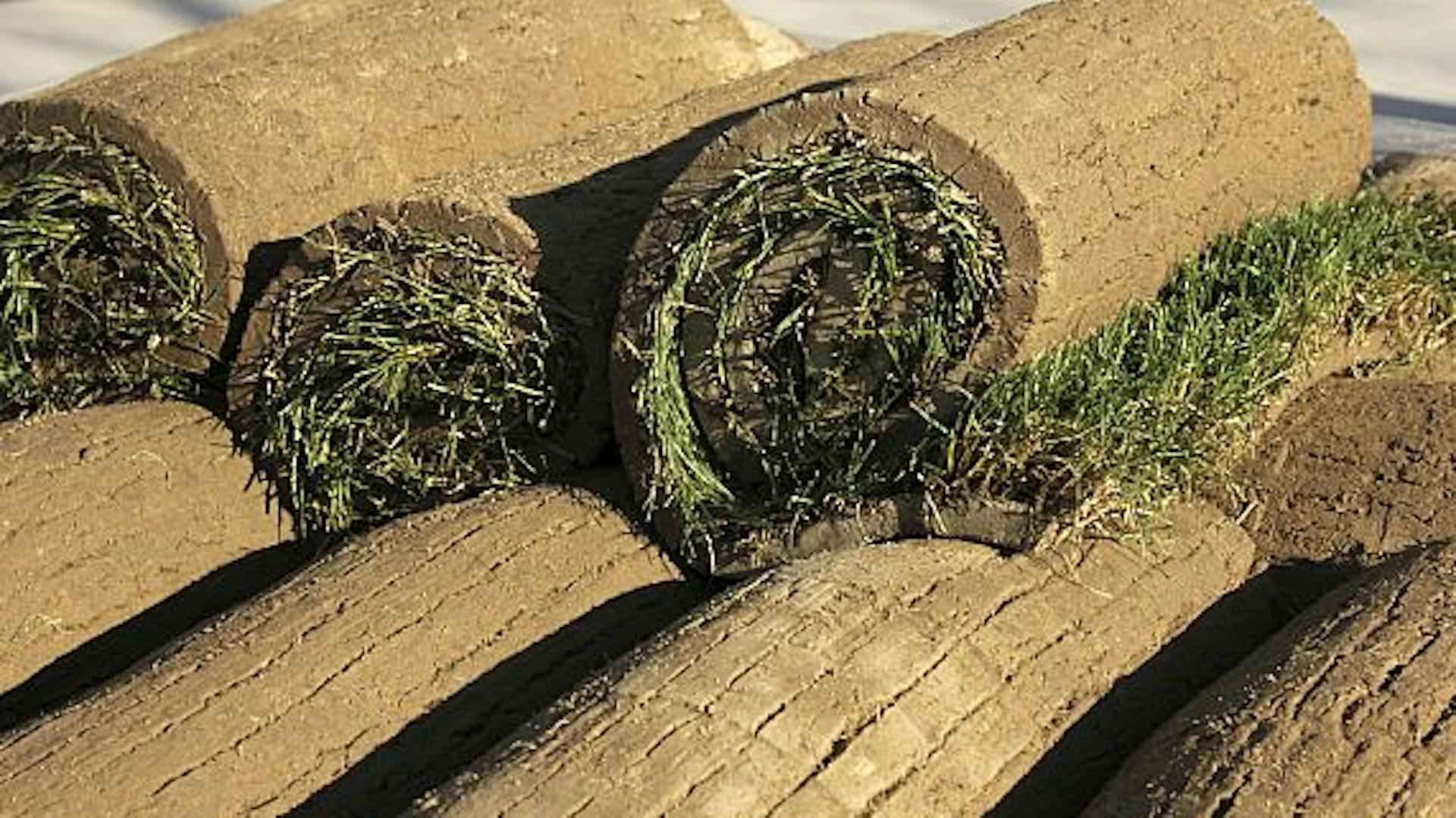 Feltekert és egymásra rakkot gyepszőnyegek a fektetésre készen