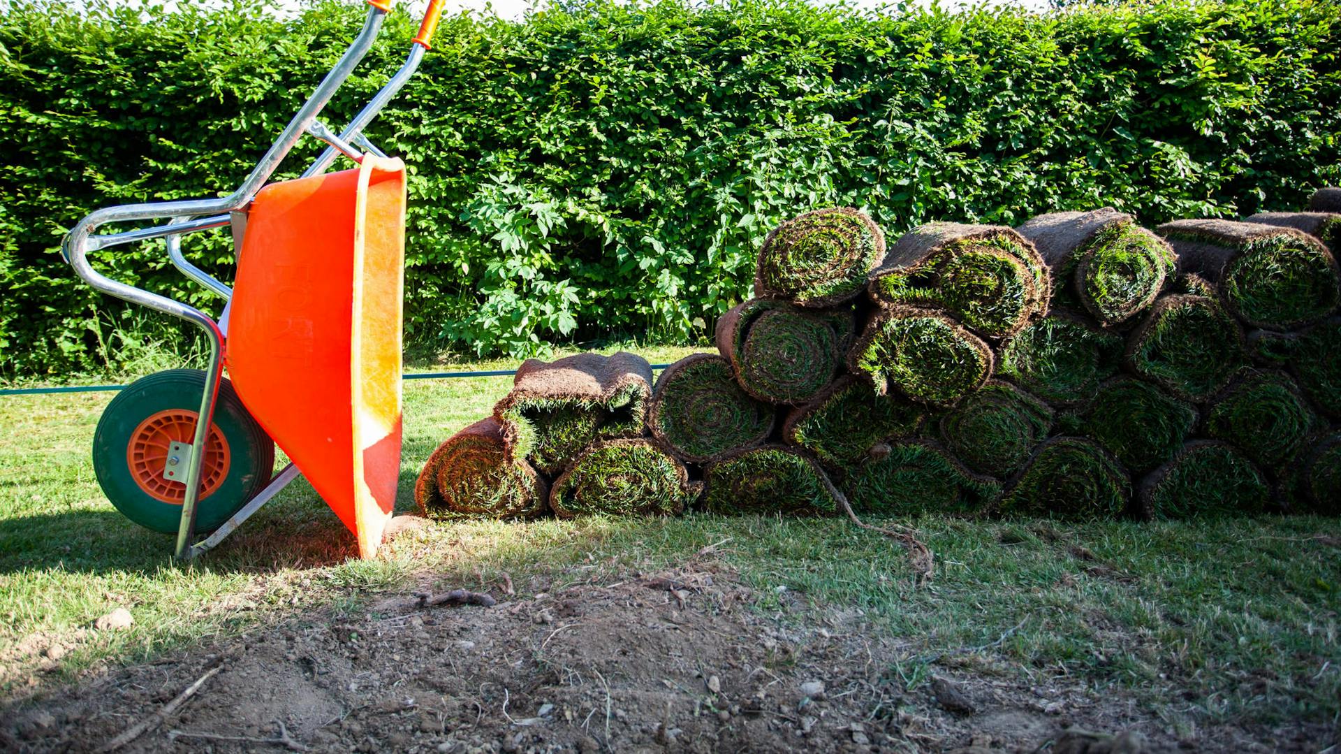 Schubkarre neben eingerollten Rollrasen vor Hecke