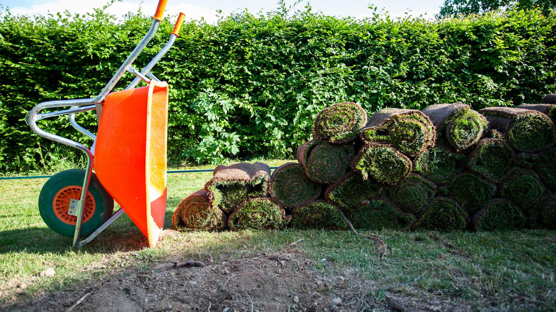 Rollrasen vor dem Verlegen