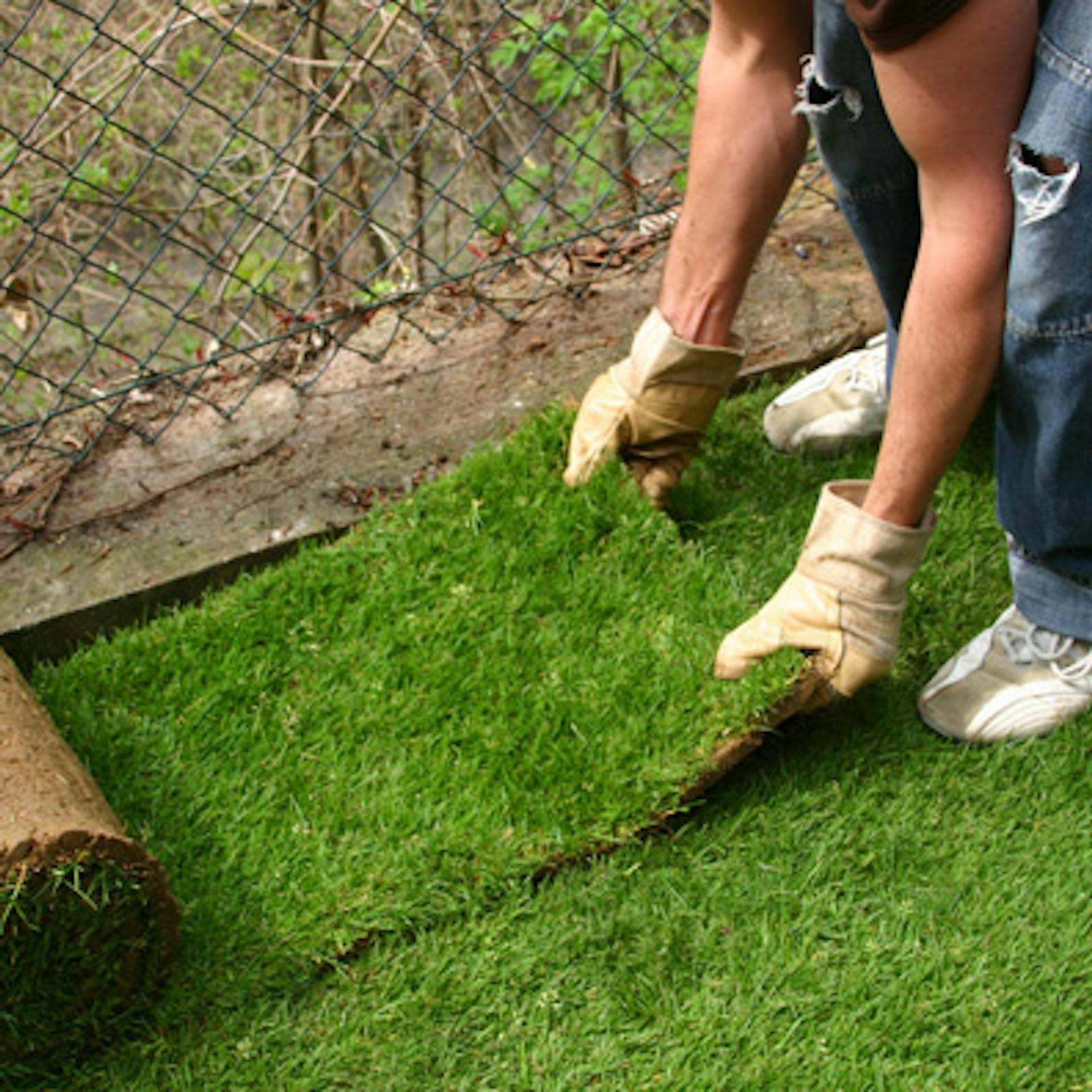 Gyepszőnyeget fektetnek