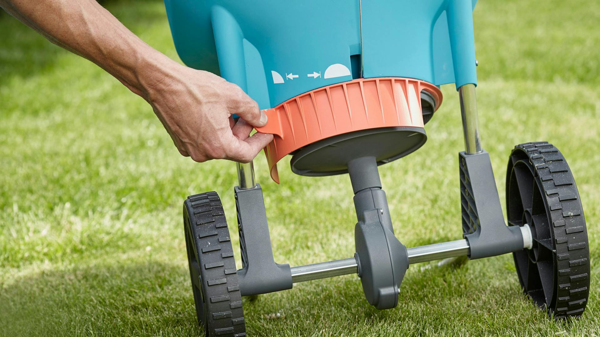 Gärtner bringt Unkrautvernichter mit blauem Streuwagen auf Rasen auf.