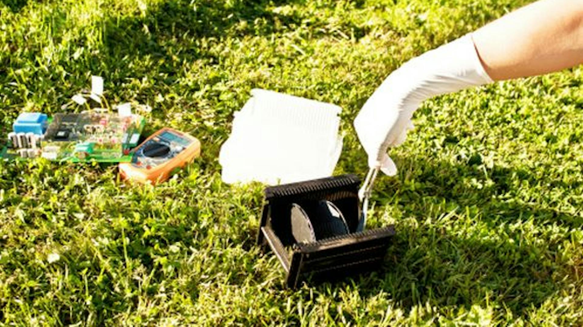 Gärtner führt pH-Wert-Schnelltest auf Rasen durch.