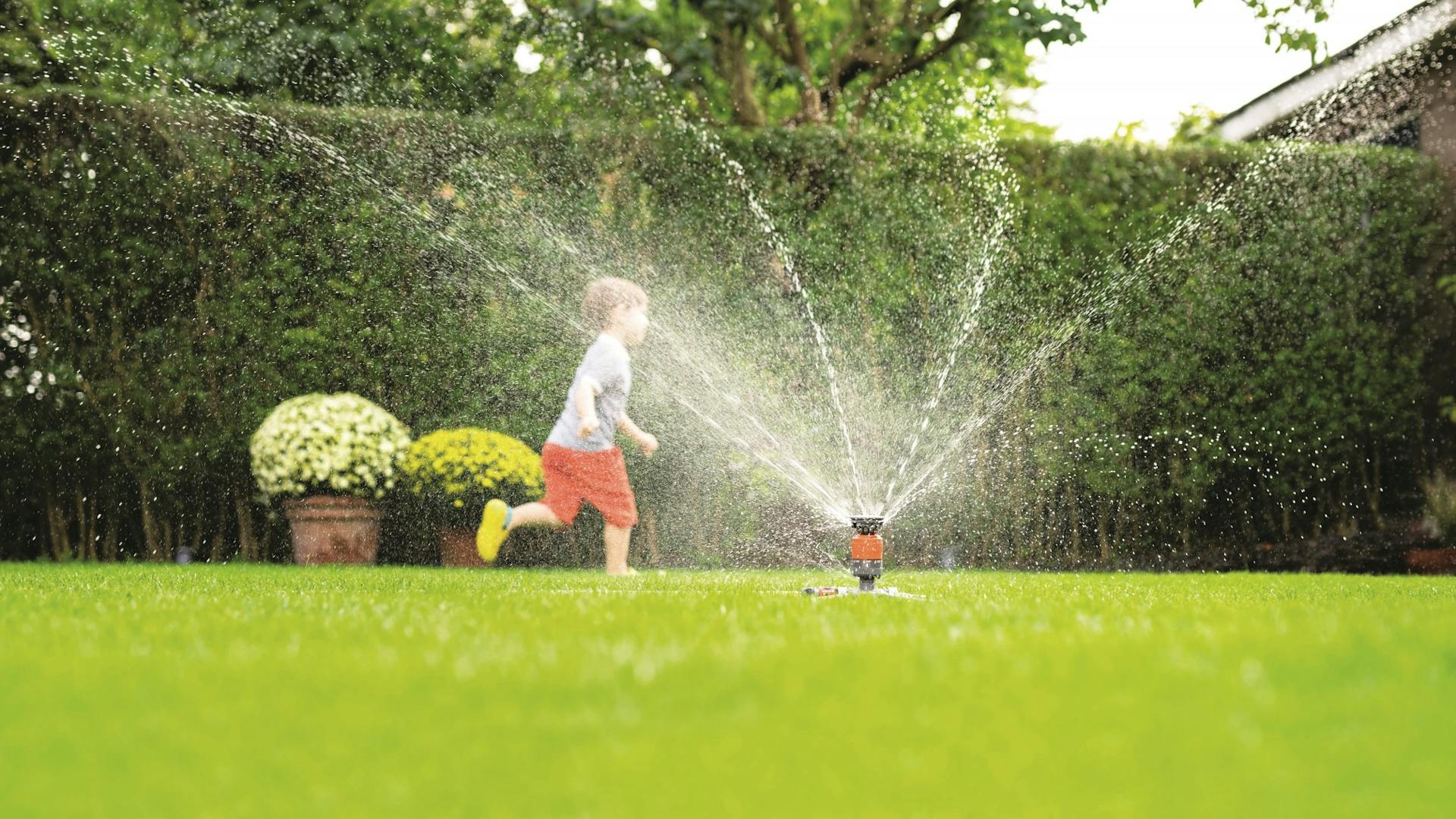 Roter Rasensprenger wässert Rasen auf dem Kind spielt