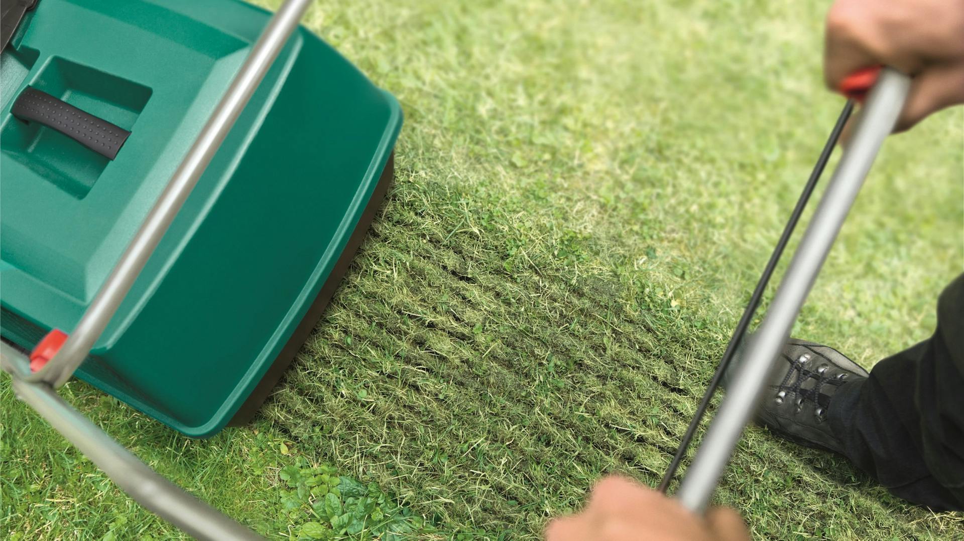 Vertikutierer vertikutiert Rasen